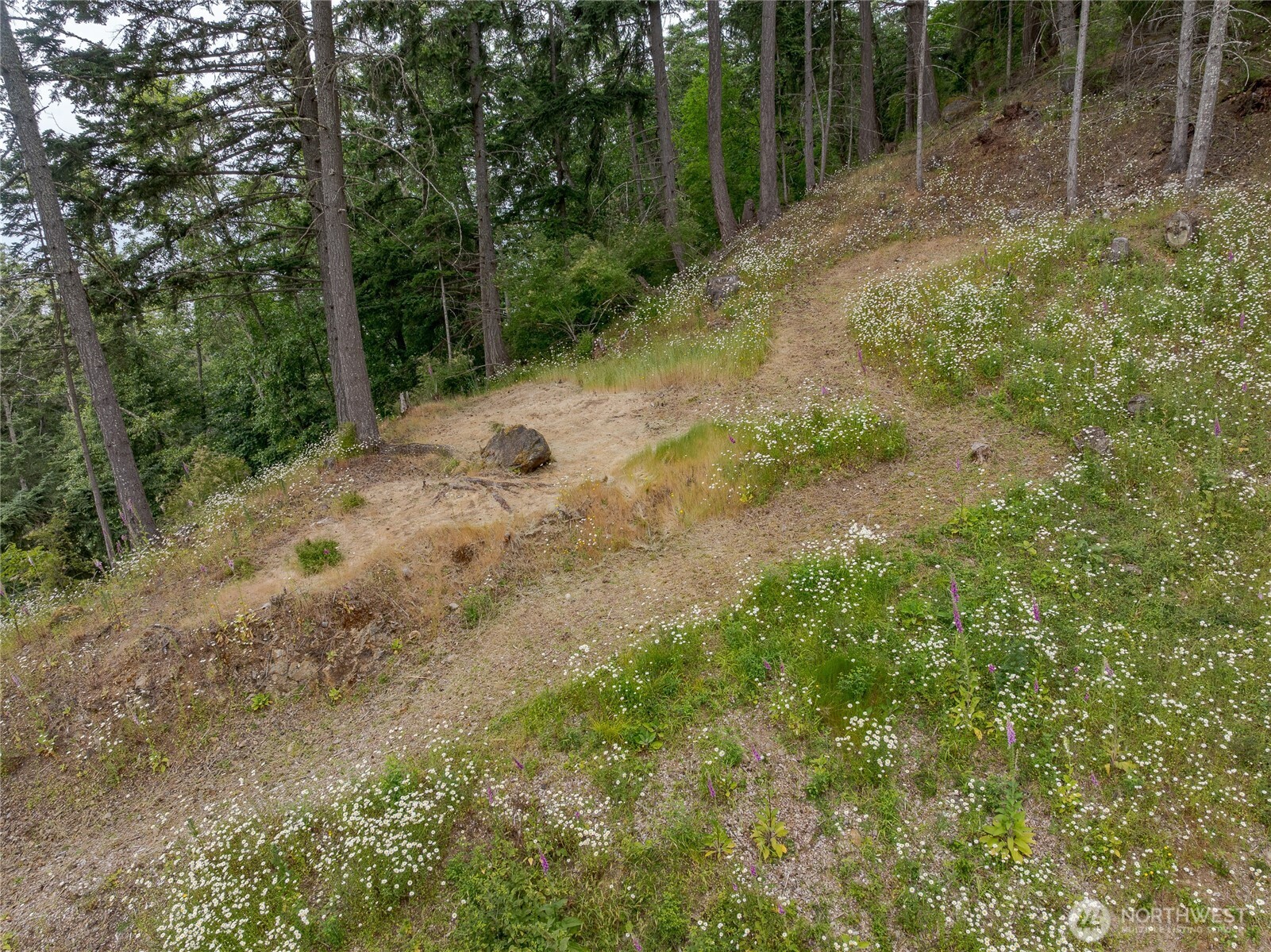 540 Wright Road Property Photo 17