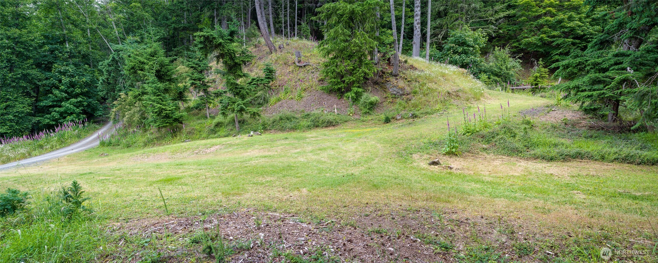 540 Wright Road Property Photo 18