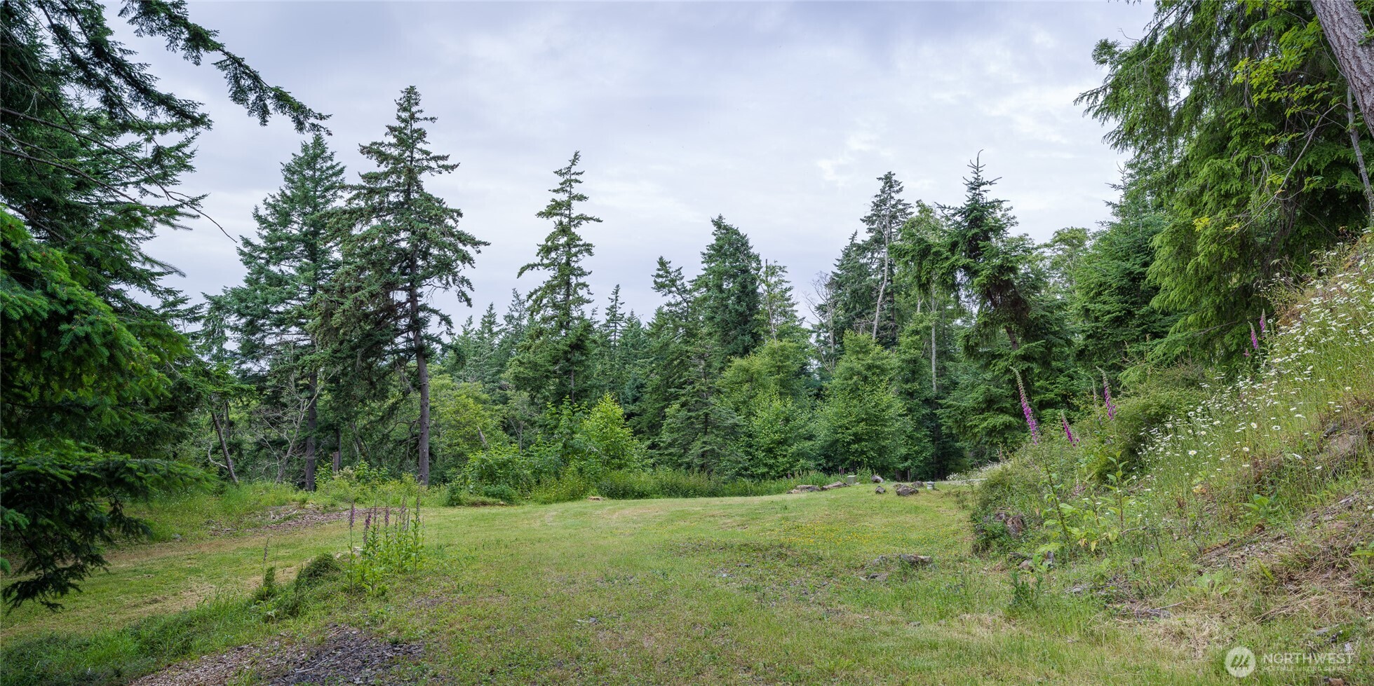 540 Wright Road Property Photo 20