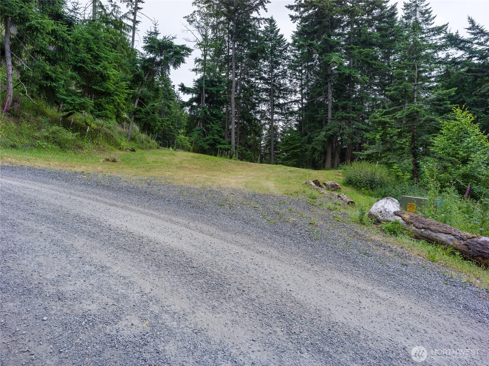 540 Wright Road Property Photo 21