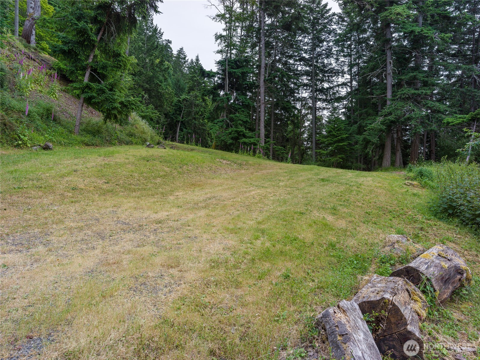 540 Wright Road Property Photo 22