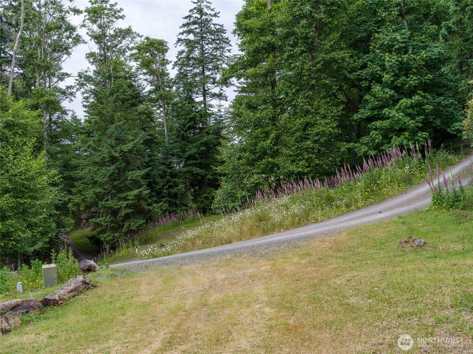 540 Wright Road Property Photo 23