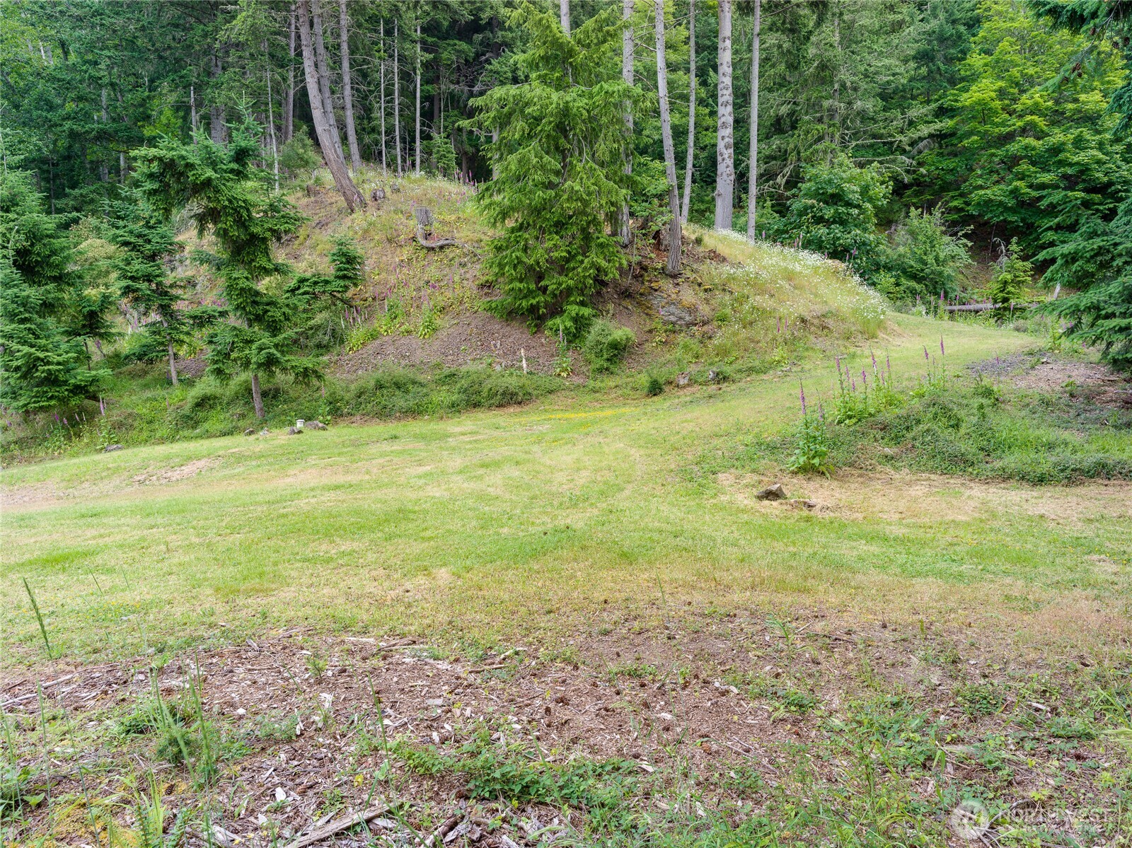 540 Wright Road Property Photo 24