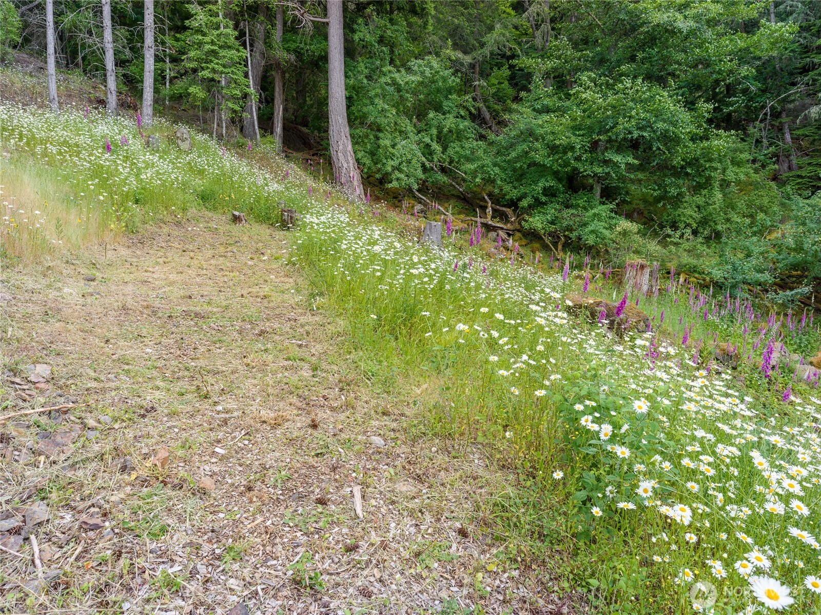 540 Wright Road Property Photo 27