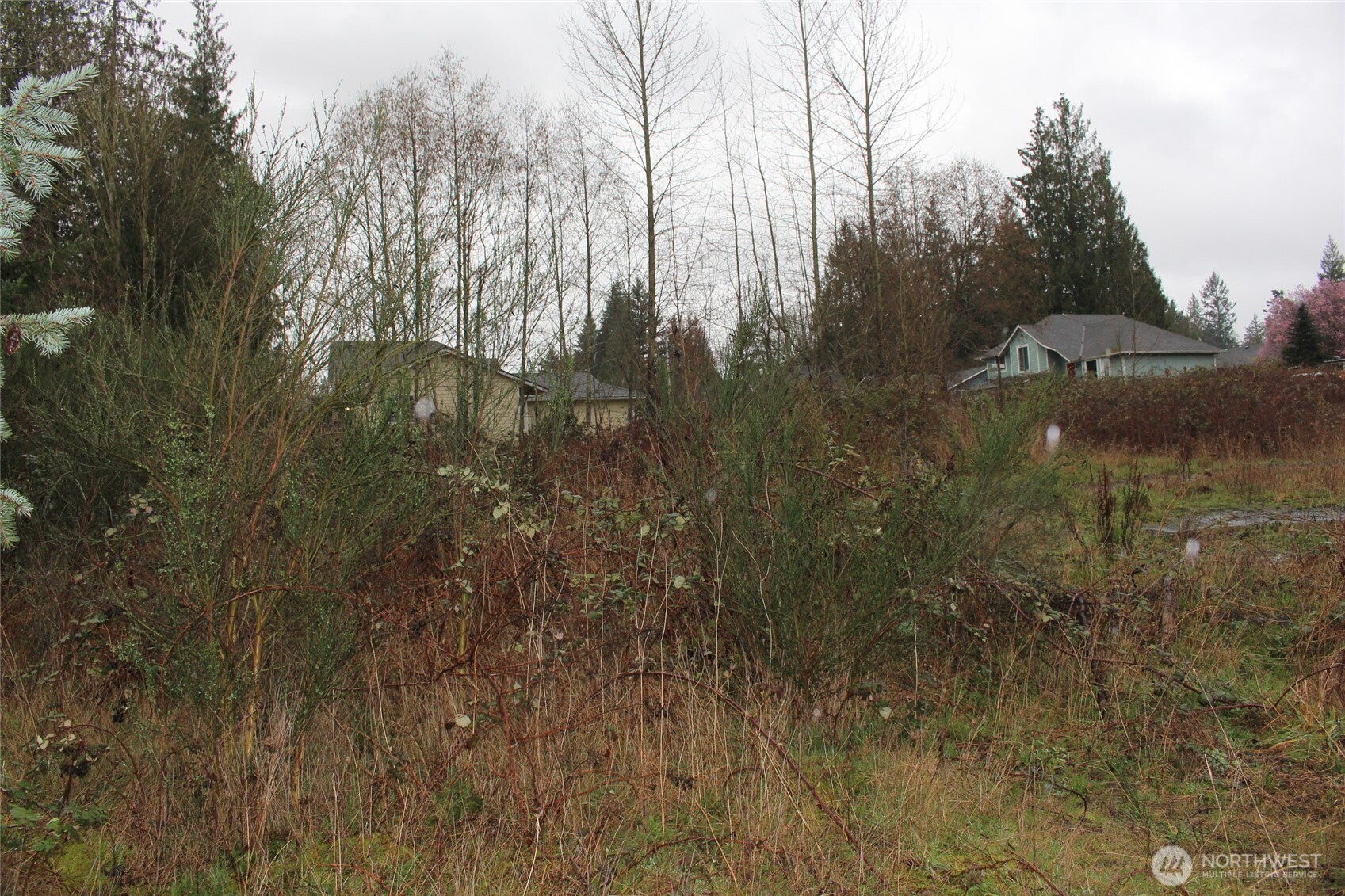 9119 20th Street Property Photo 11