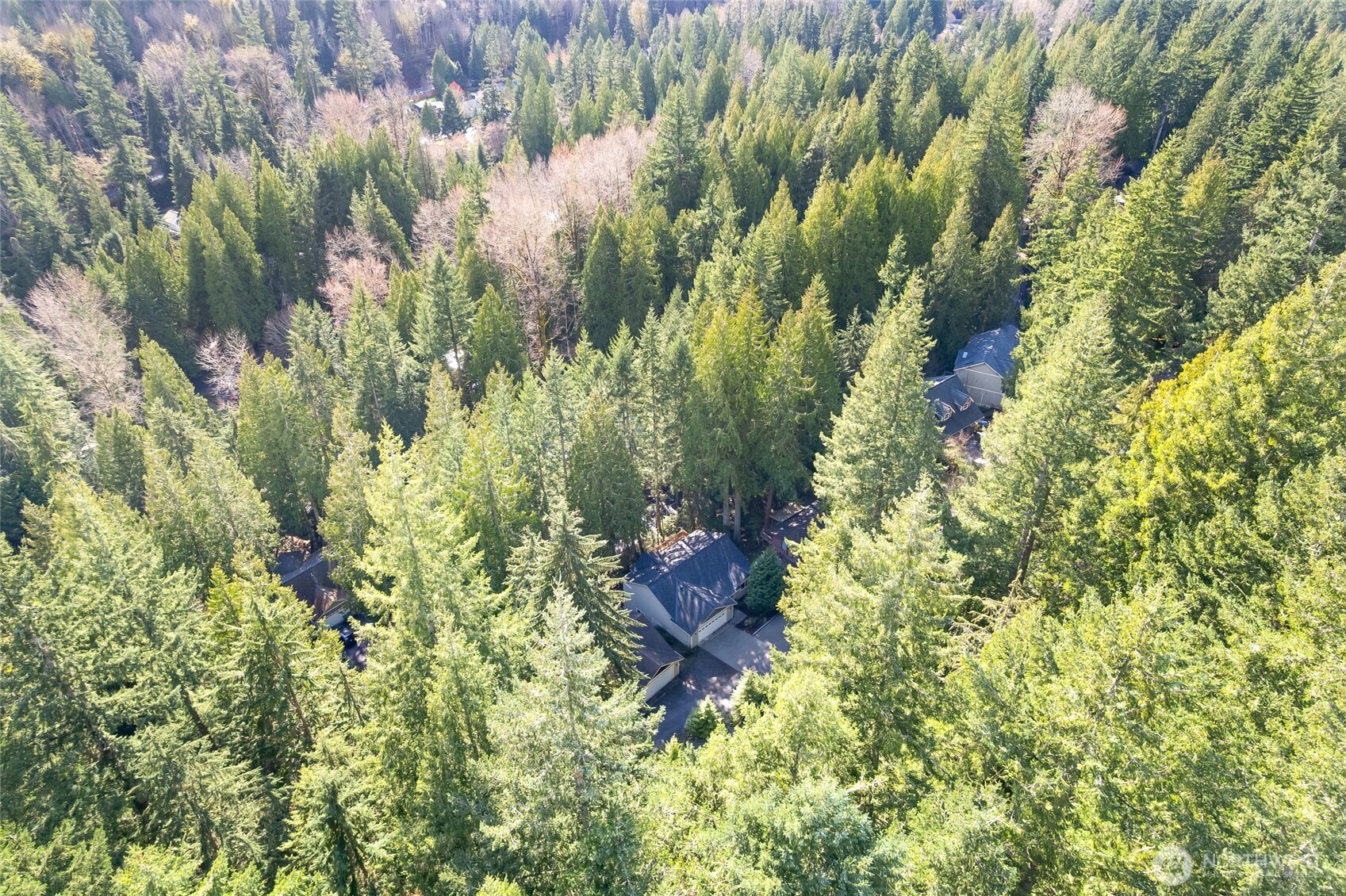 9 Shooting Star Court Property Photo 38