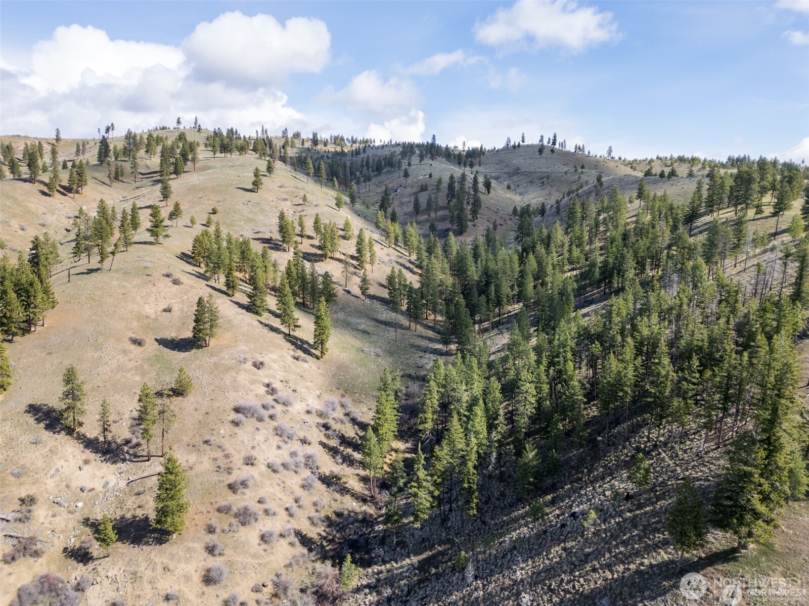 12 Mile Entiat River Road Property Photo 15