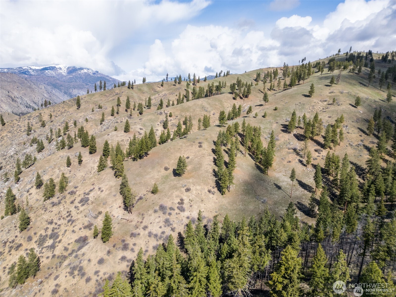 12 Mile Entiat River Road Property Photo 16