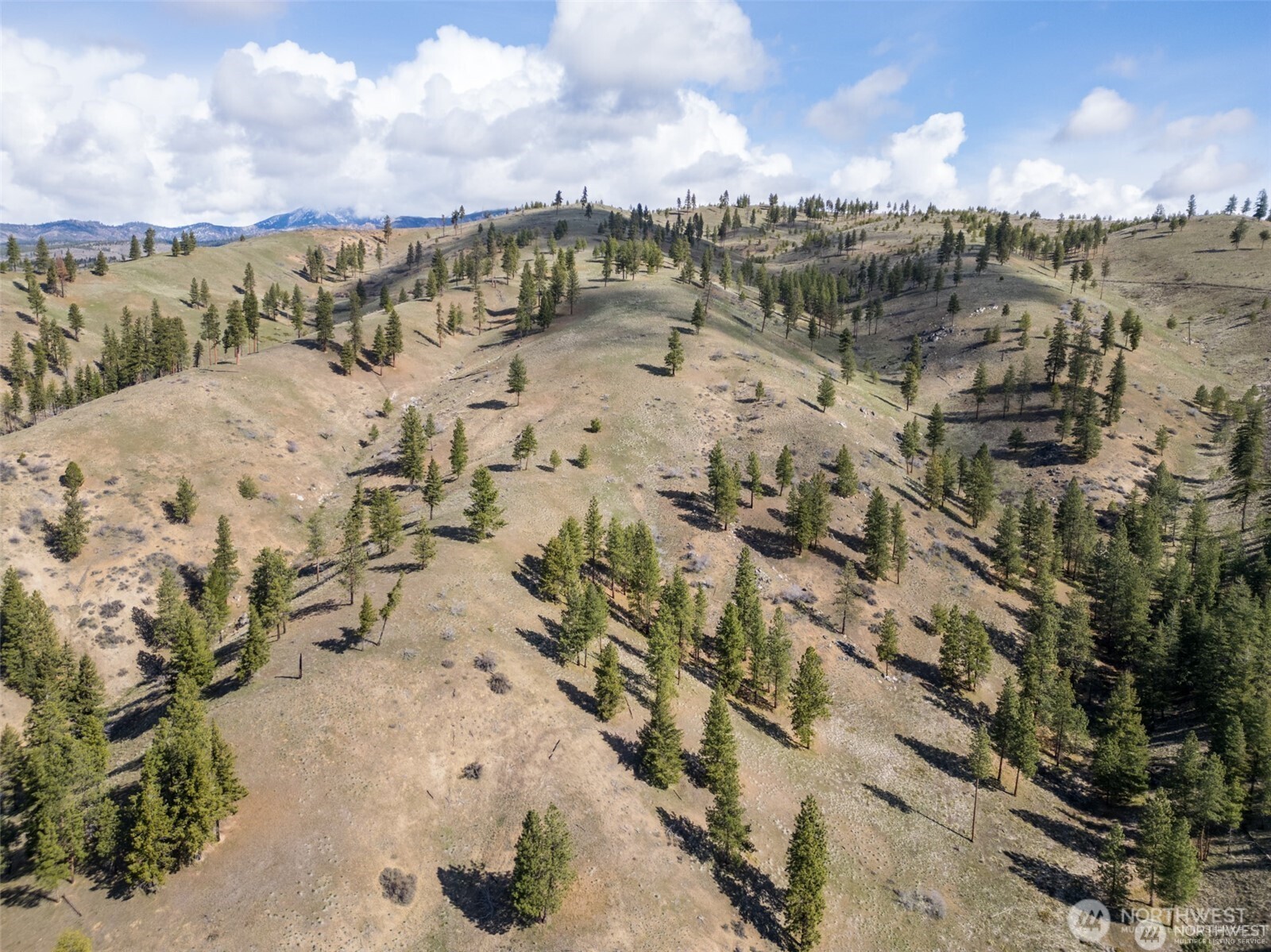 12 Mile Entiat River Road Property Photo 20