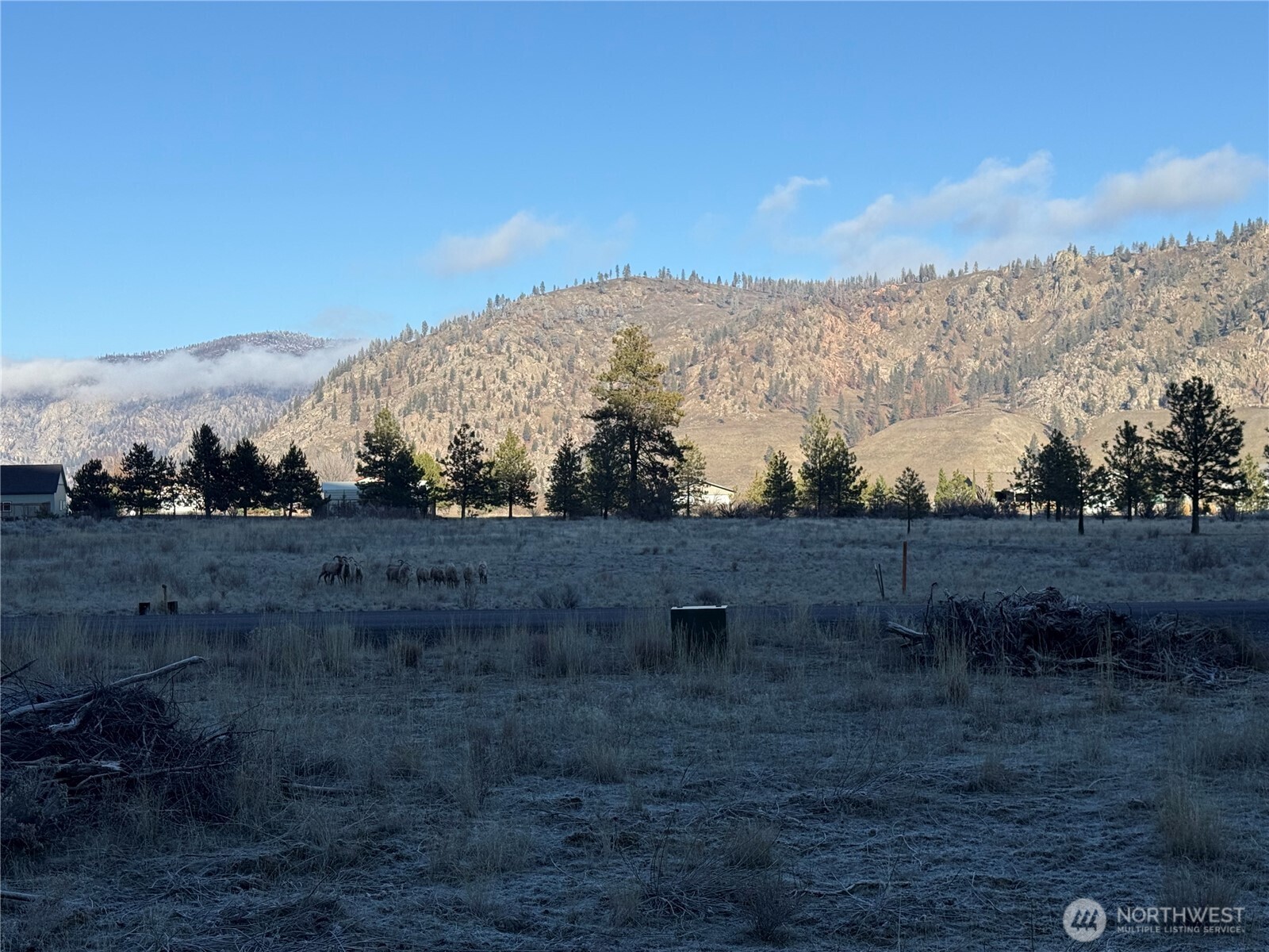 39135 Sterling Valley Road Property Photo 8