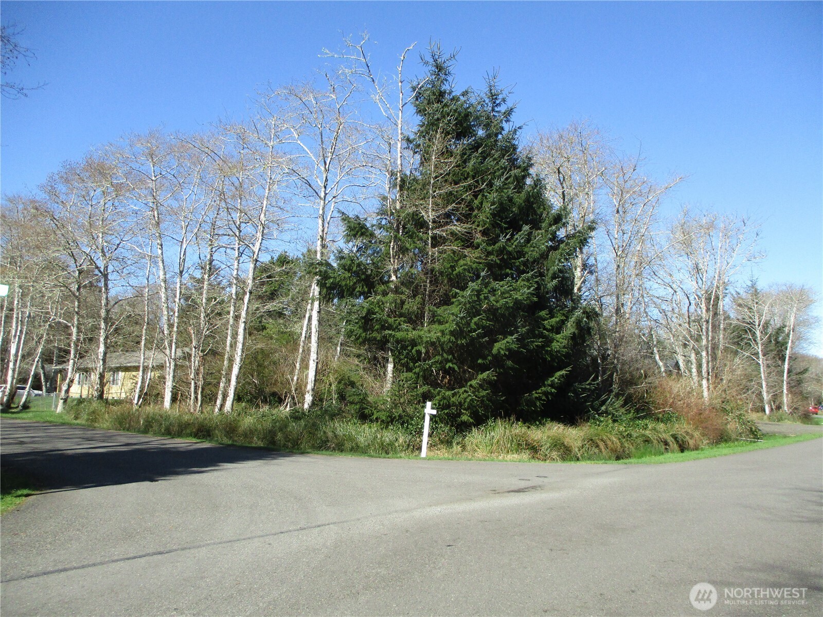 301 Olympic View Property Photo 1