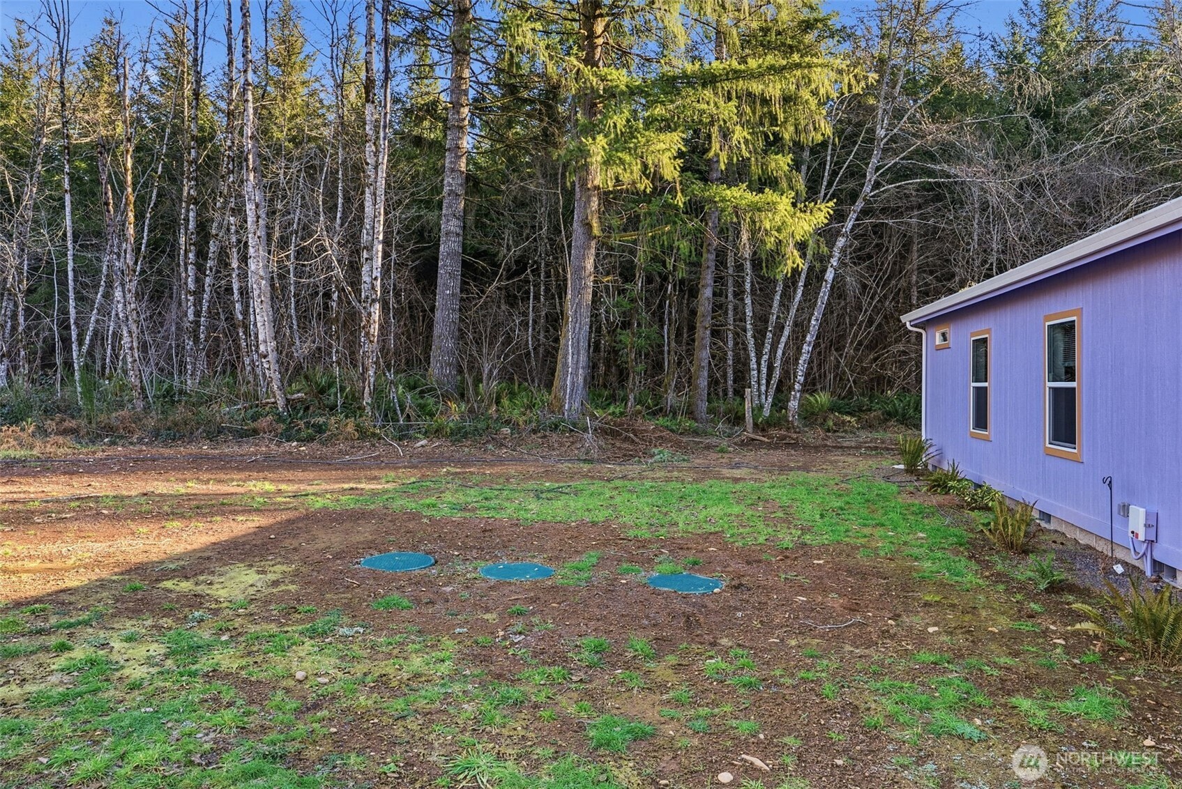 142 Wild Daisy Drive Property Photo 20