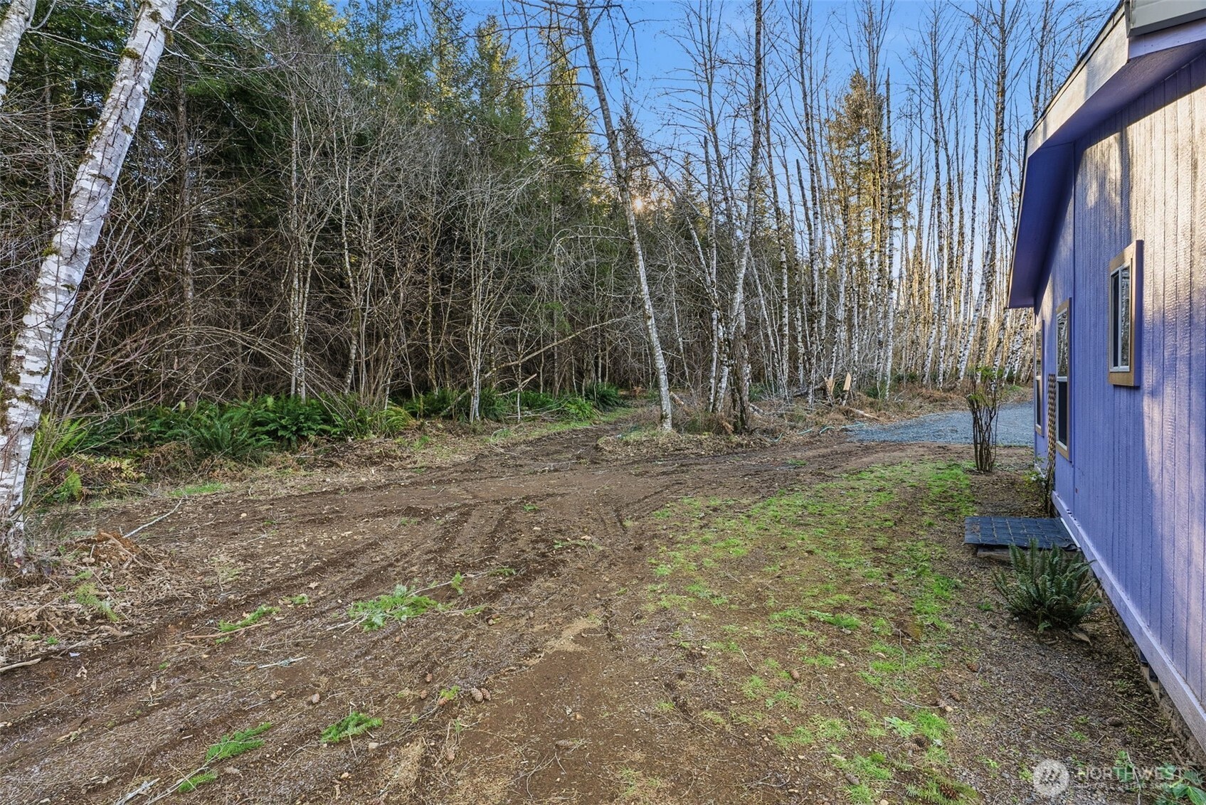 142 Wild Daisy Drive Property Photo 21