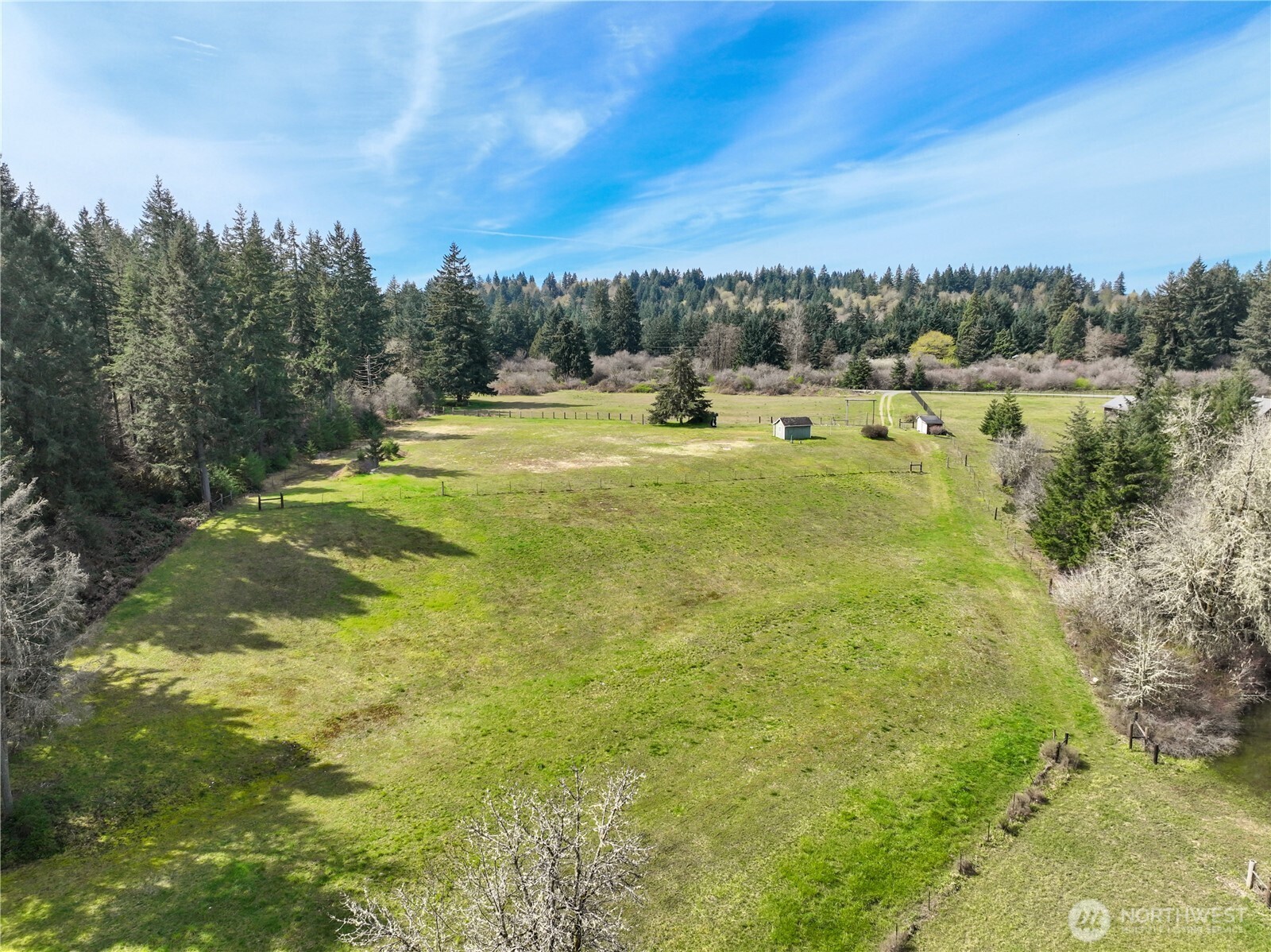 9842 Rich Road Property Photo 4