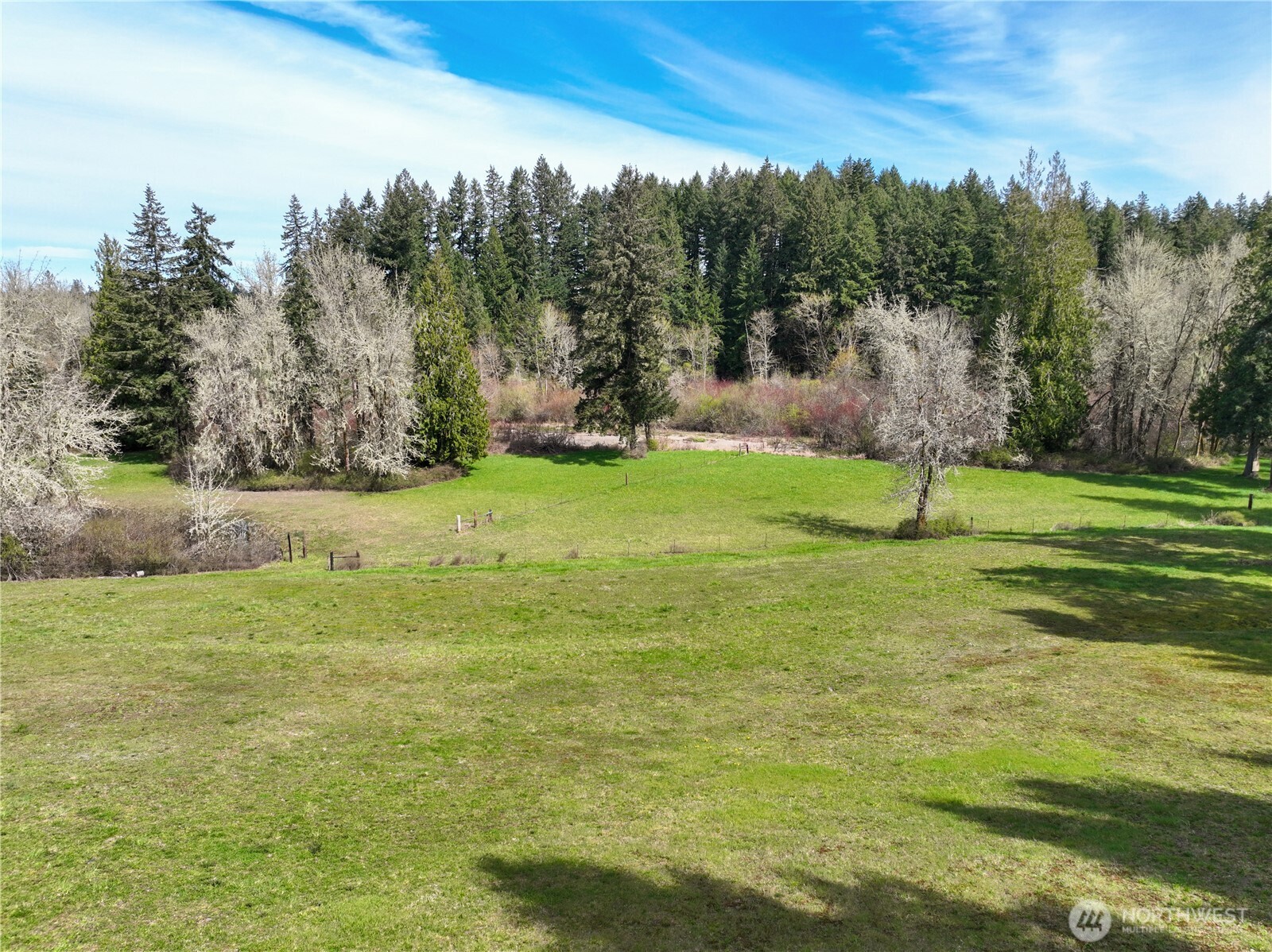 9842 Rich Road Property Photo 9