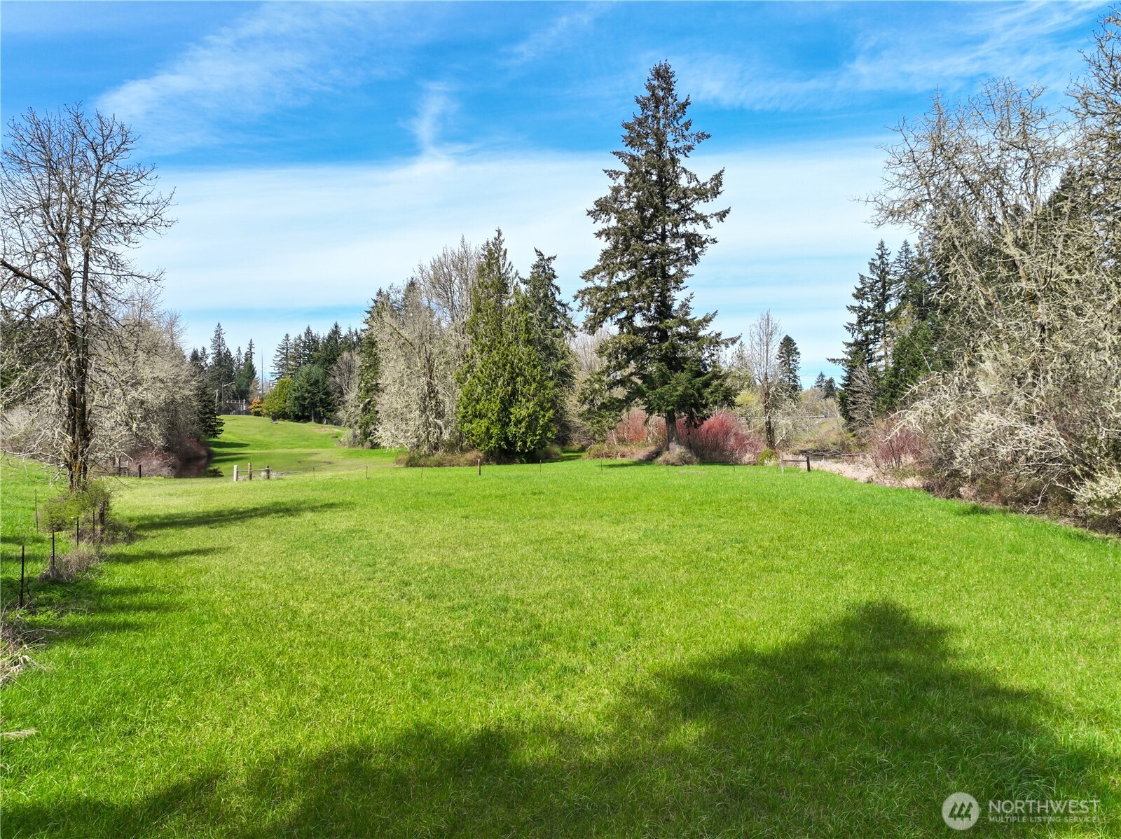 9842 Rich Road Property Photo 10