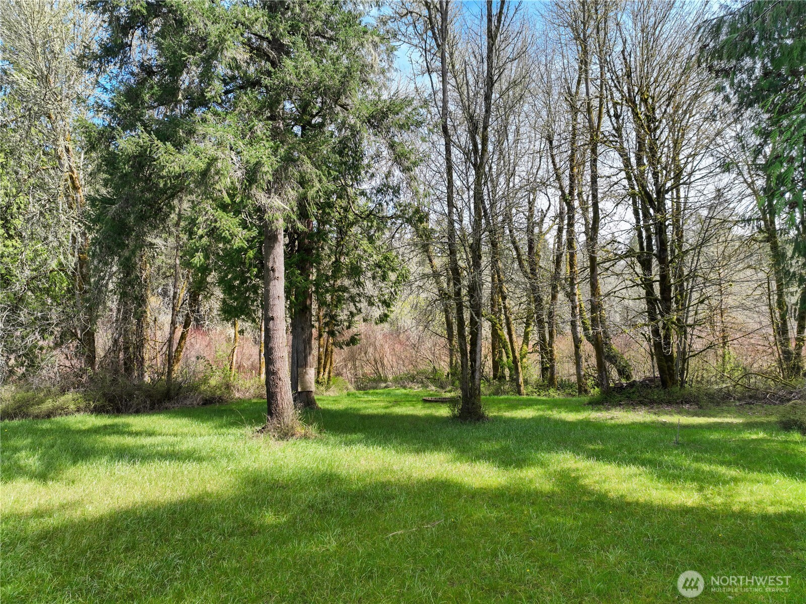 9842 Rich Road Property Photo 11