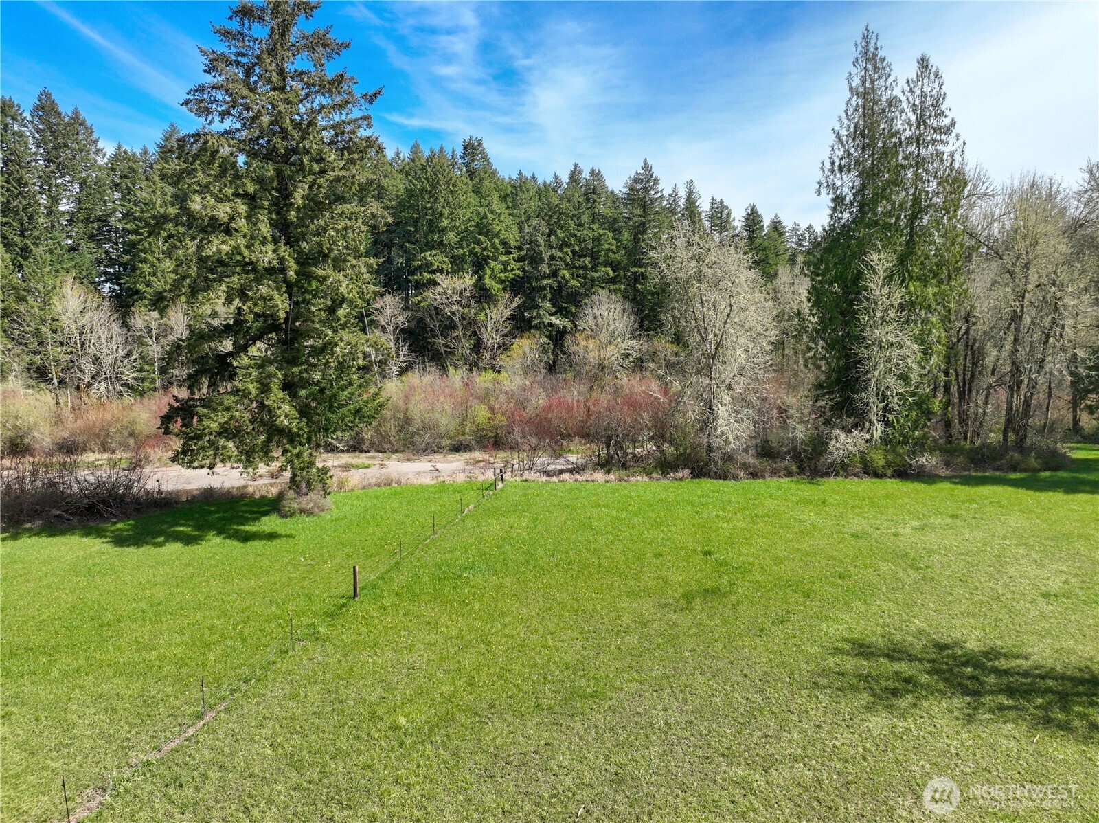 9842 Rich Road Property Photo 13