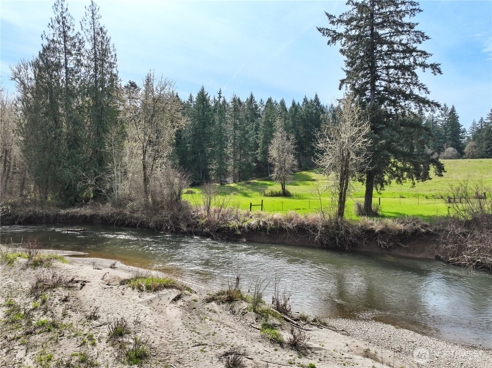 9842 Rich Road Property Photo 14