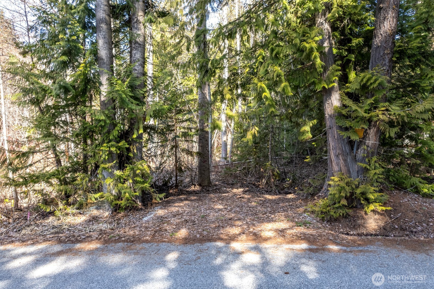 22740 Brown Road Property Photo 9