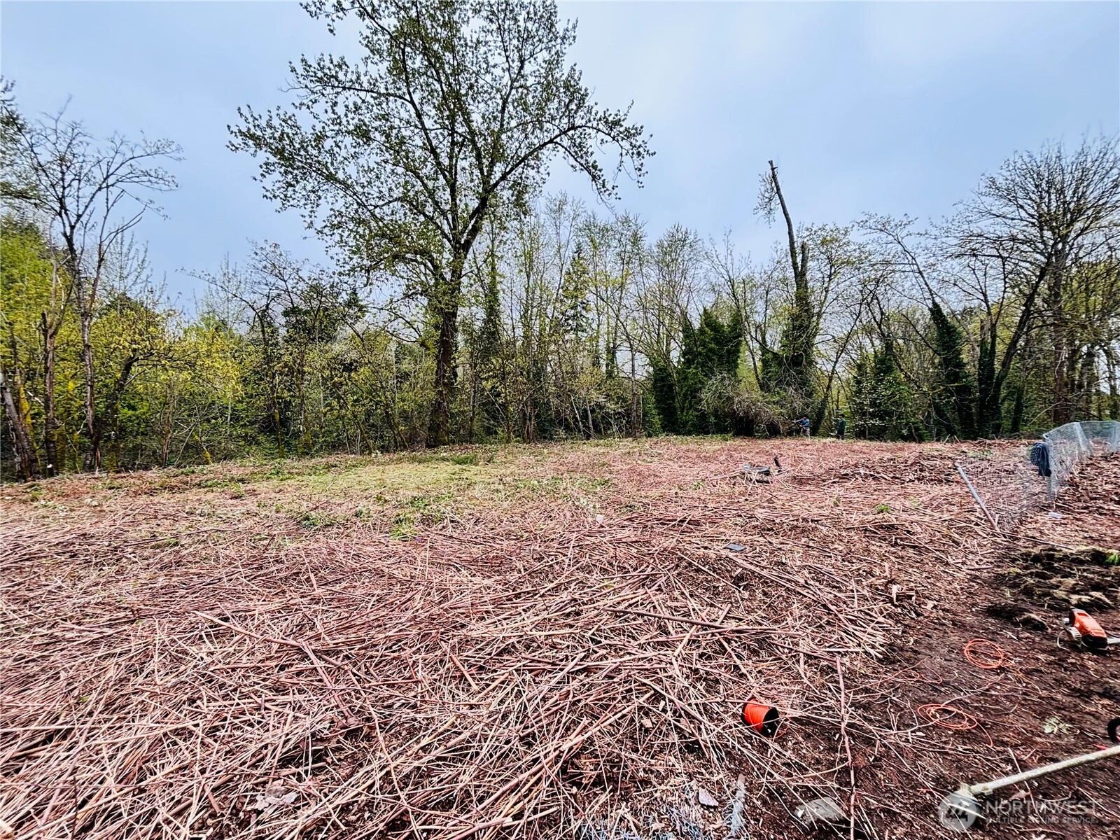 421 E 46th Street Property Photo 3