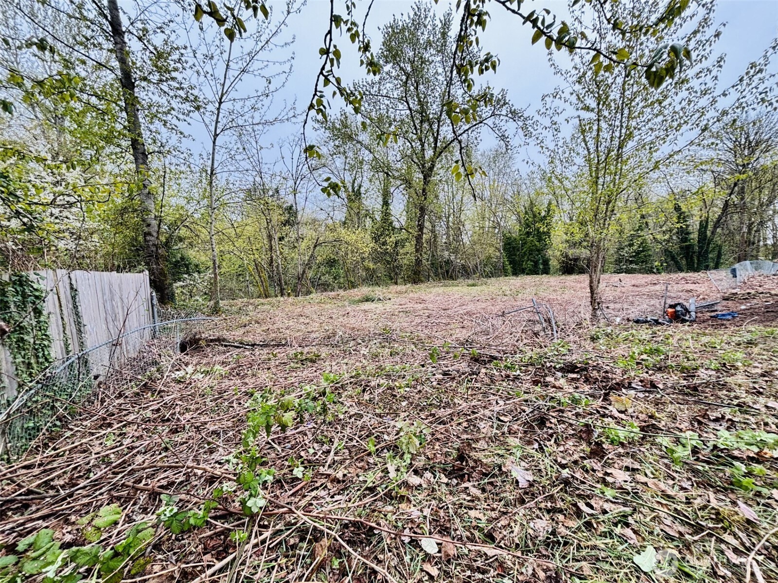 421 E 46th Street Property Photo 4