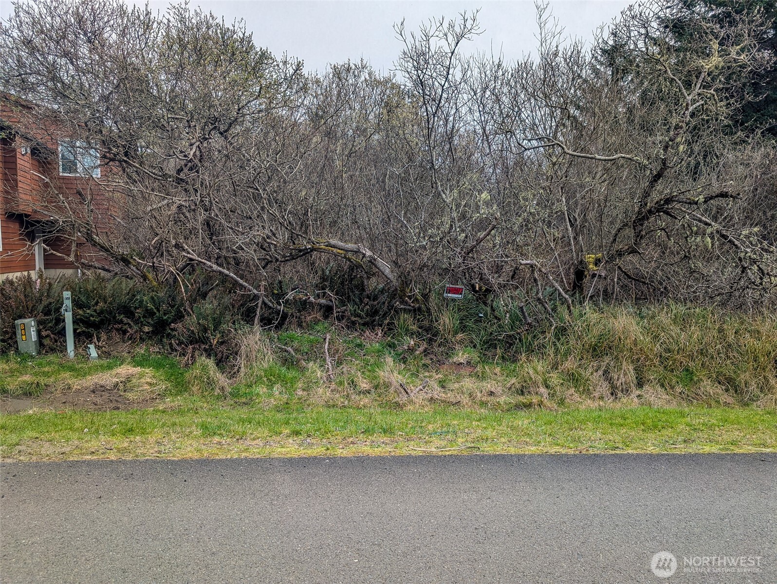 572 Puffin Avenue Property Photo 1