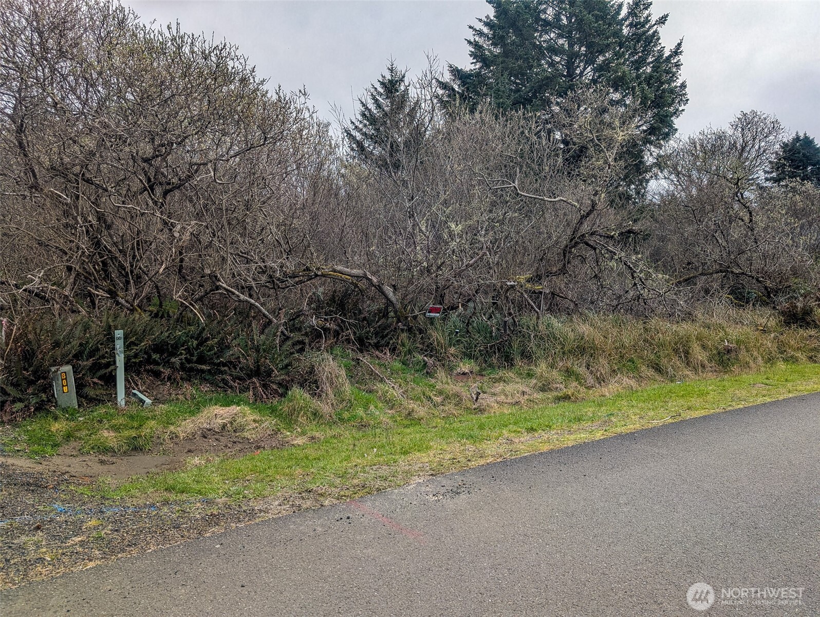 572 Puffin Avenue Property Photo 2