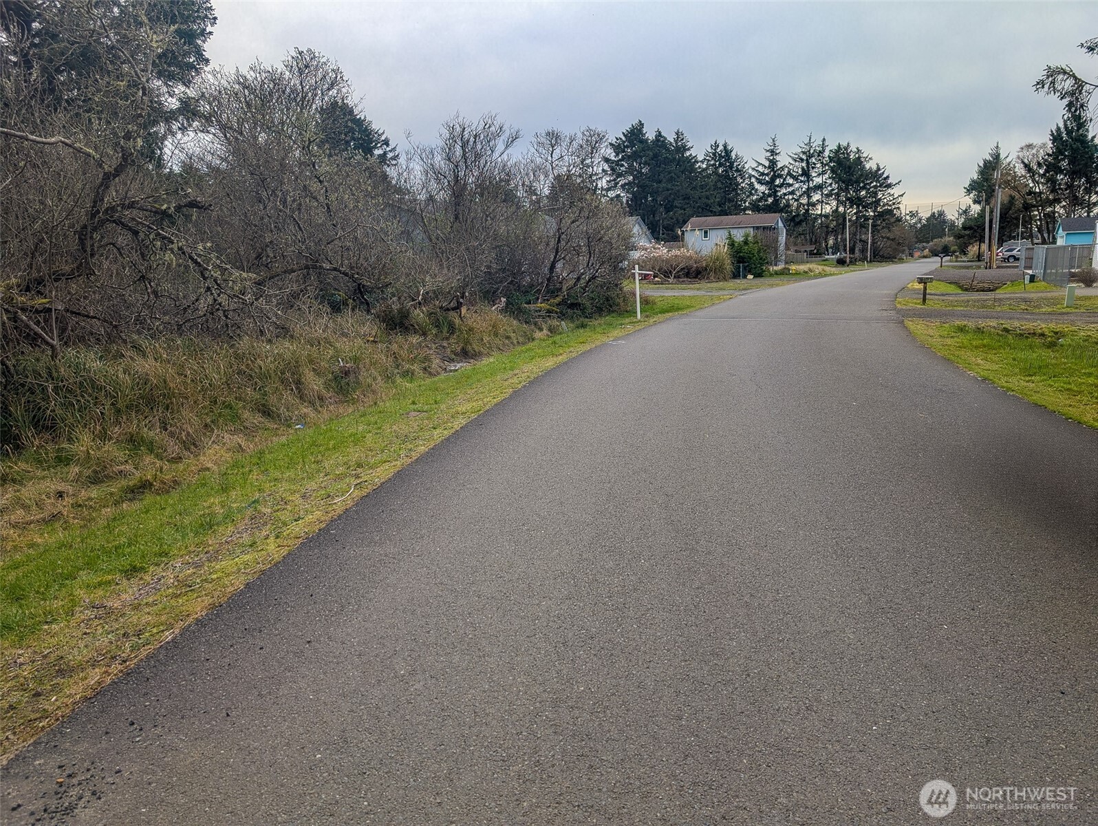 572 Puffin Avenue Property Photo 3