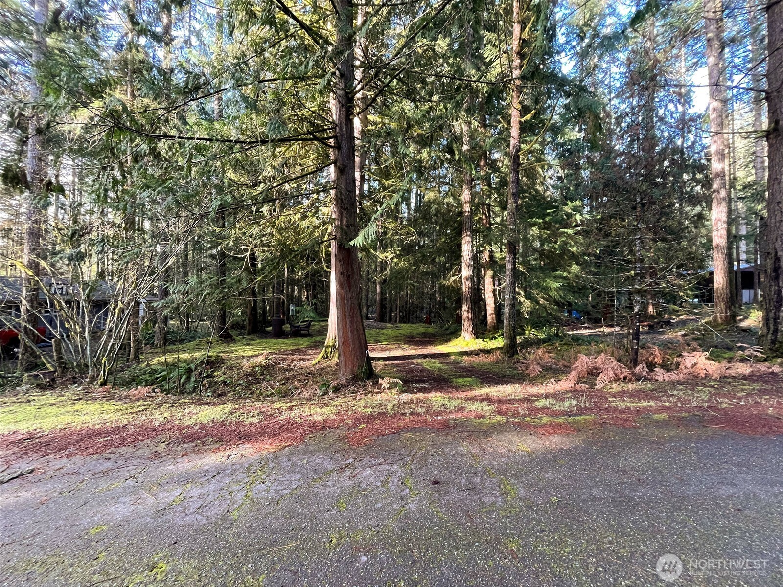 101 N Duckabush Loop Property Photo 1