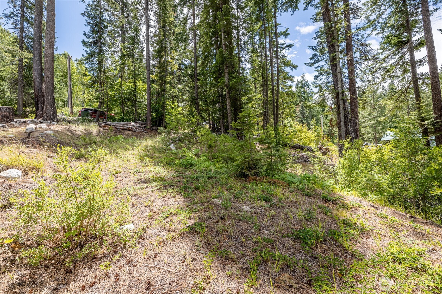 22660 Alpine Drive Property Photo 5