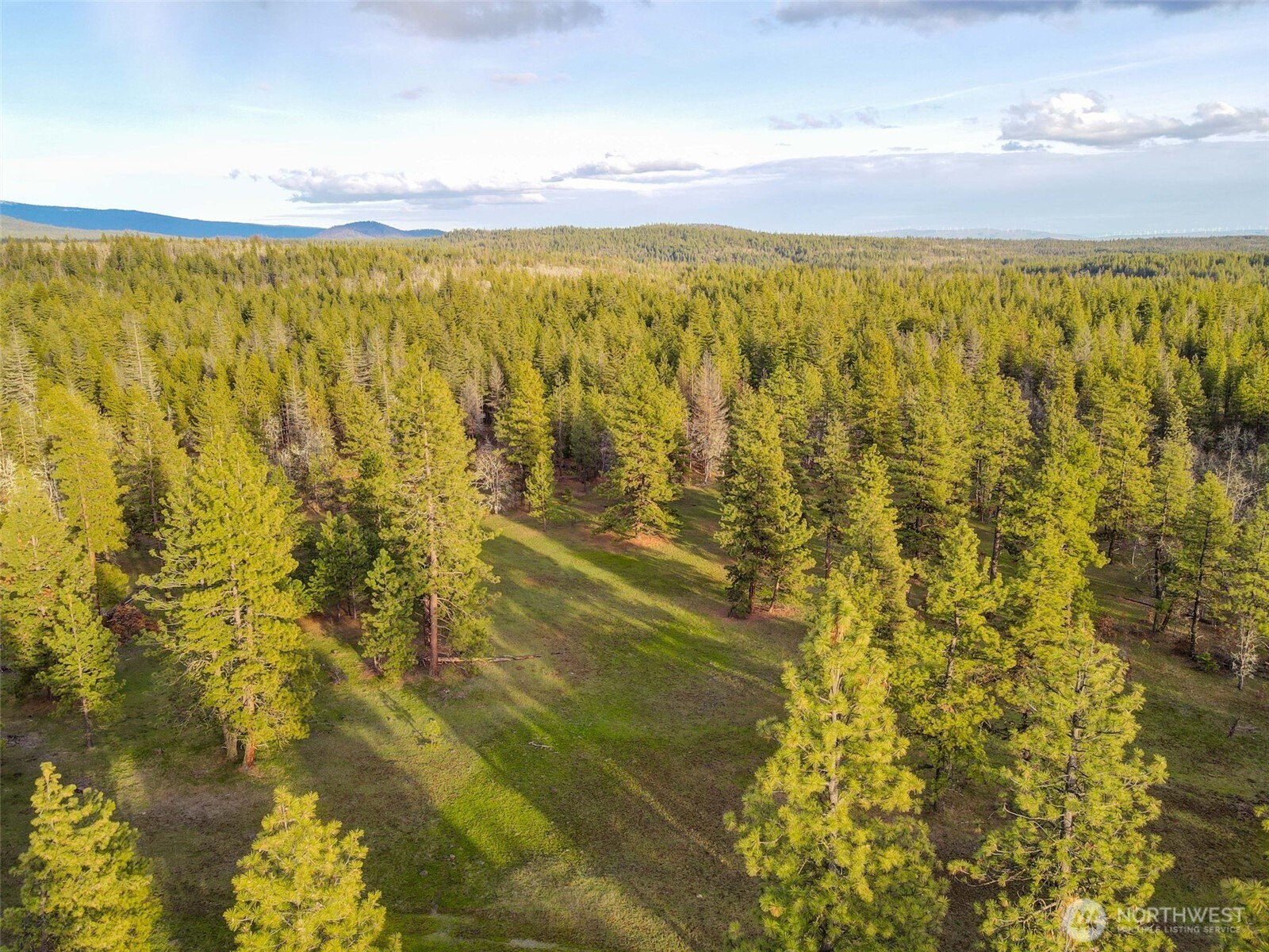 0 Lot 8 Greyback Mountain Road Property Photo 1