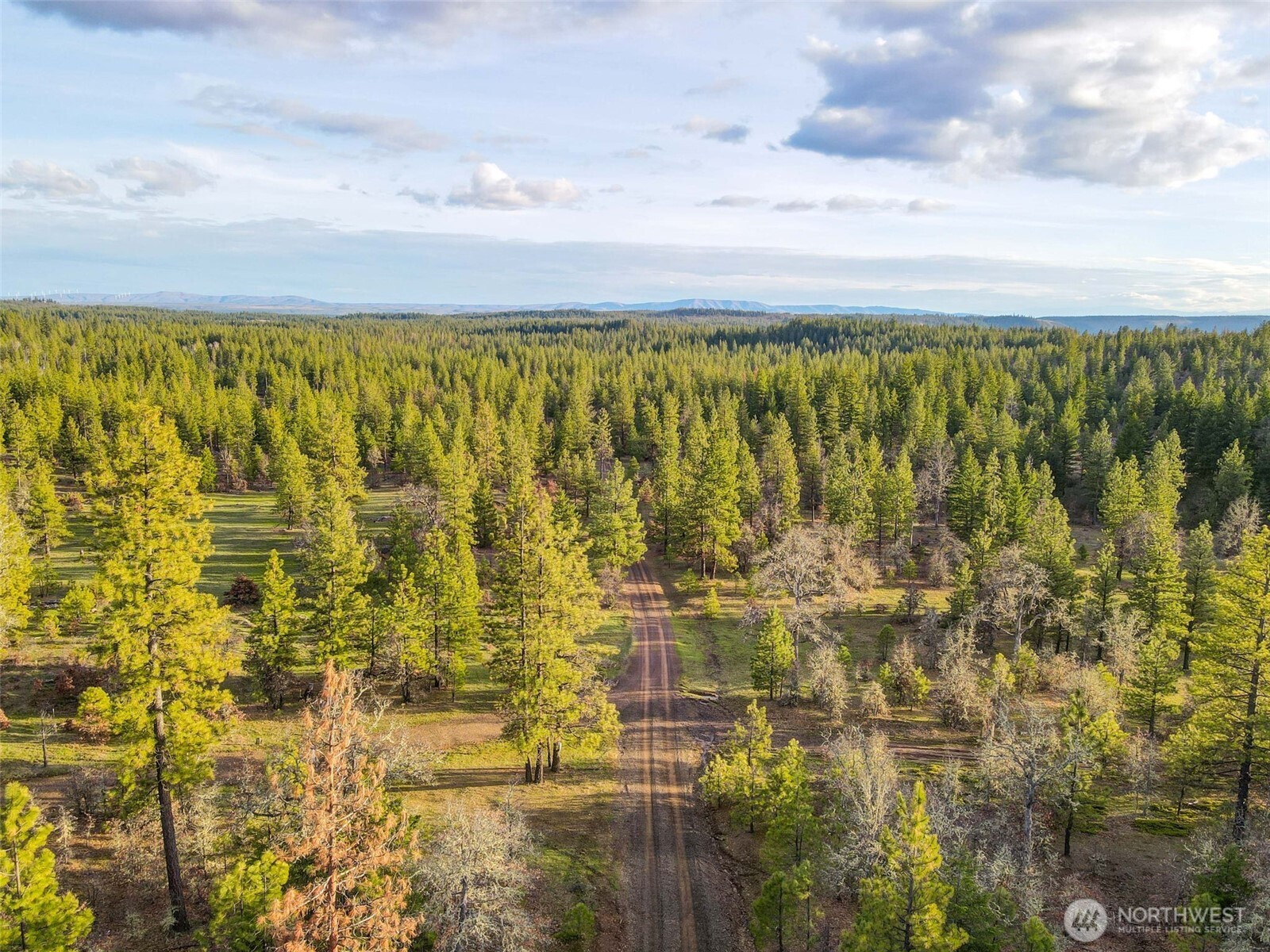 0 Lot 8 Greyback Mountain Road Property Photo 3