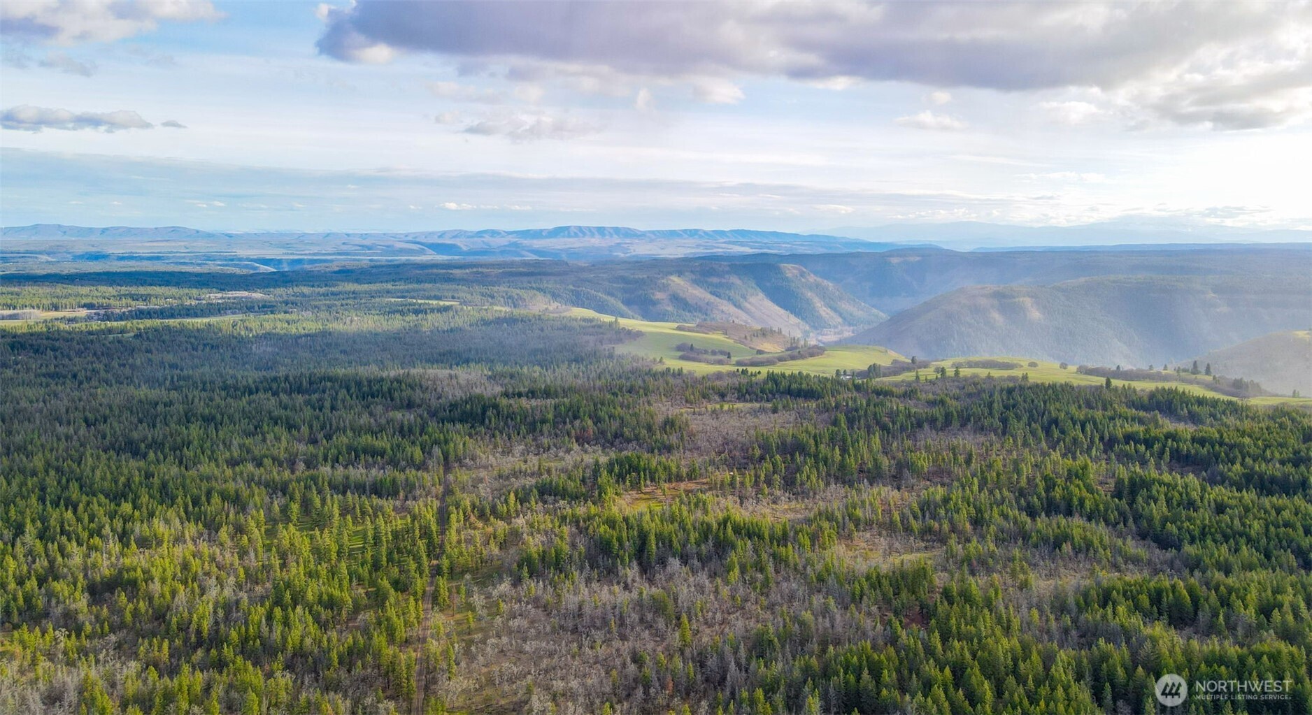 0 Lot 8 Greyback Mountain Road Property Photo 4