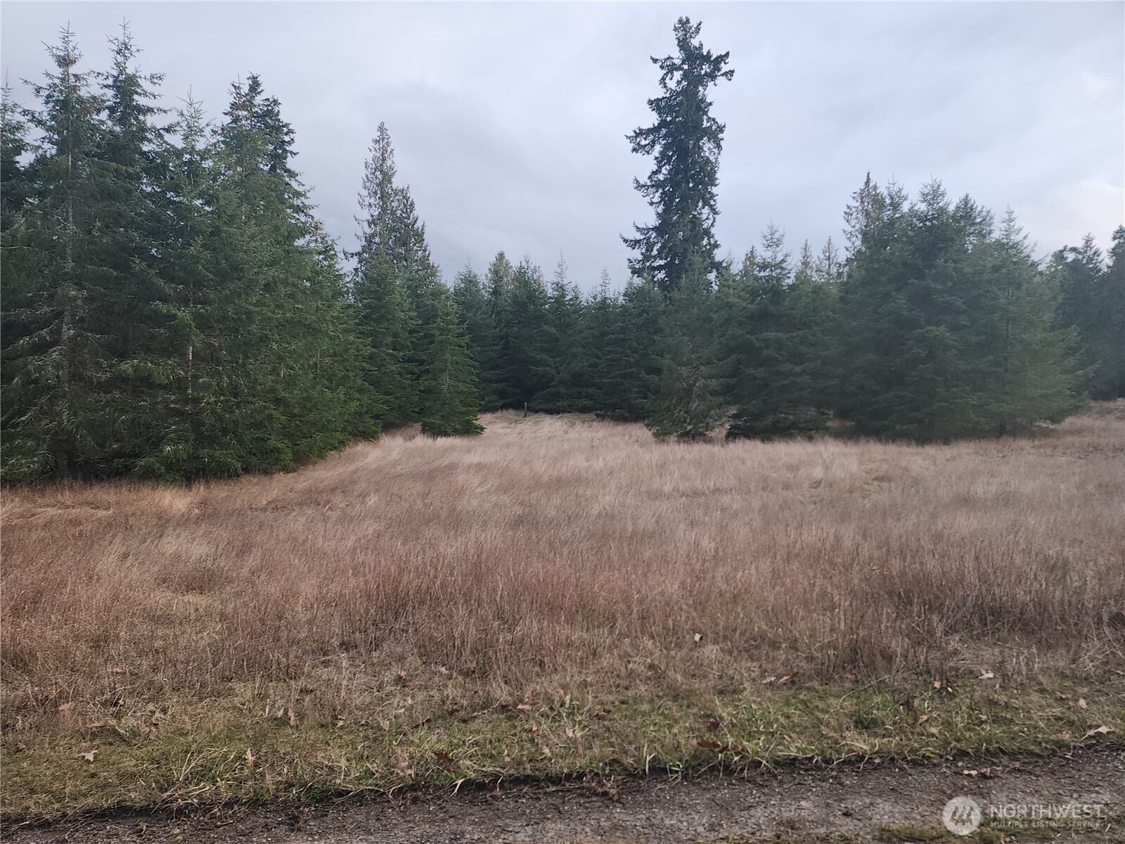 0 Lilly Road Property Photo 4