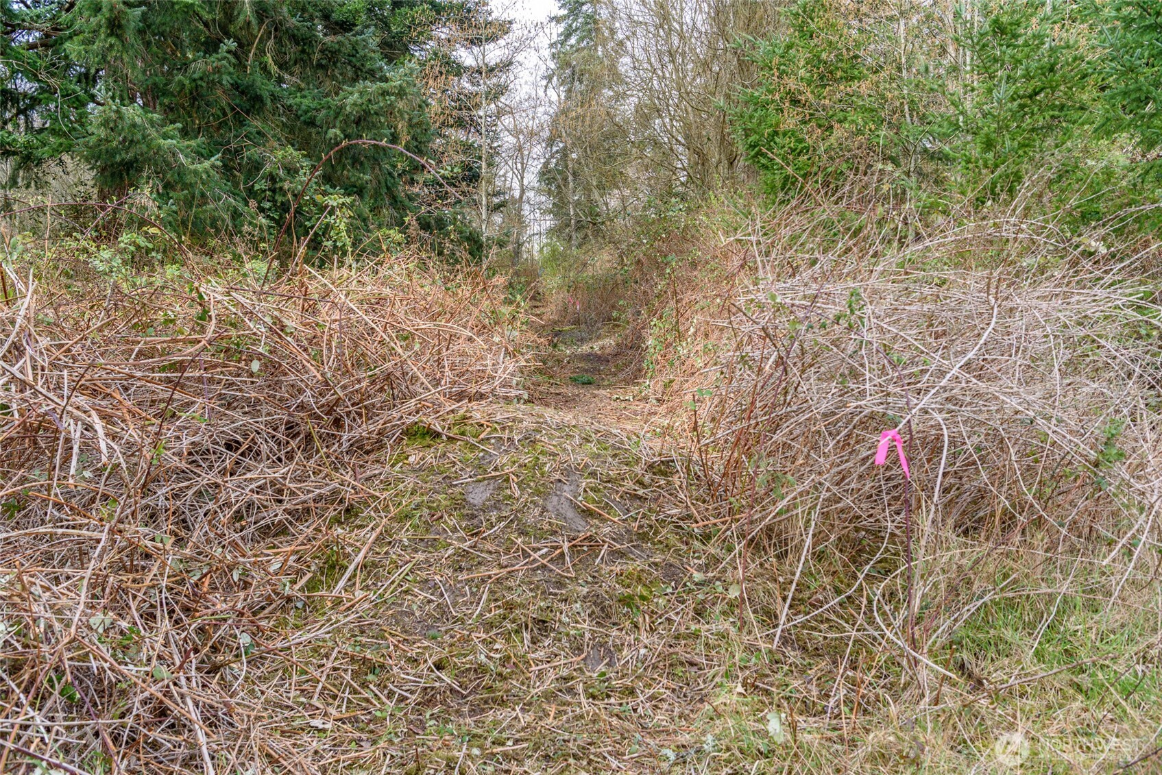 0 Nhn Polnell Road Property Photo 11