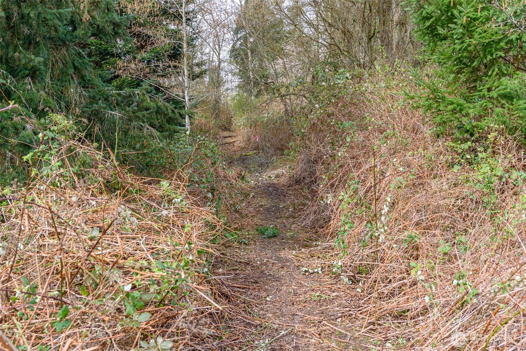 0 Nhn Polnell Road Property Photo 12