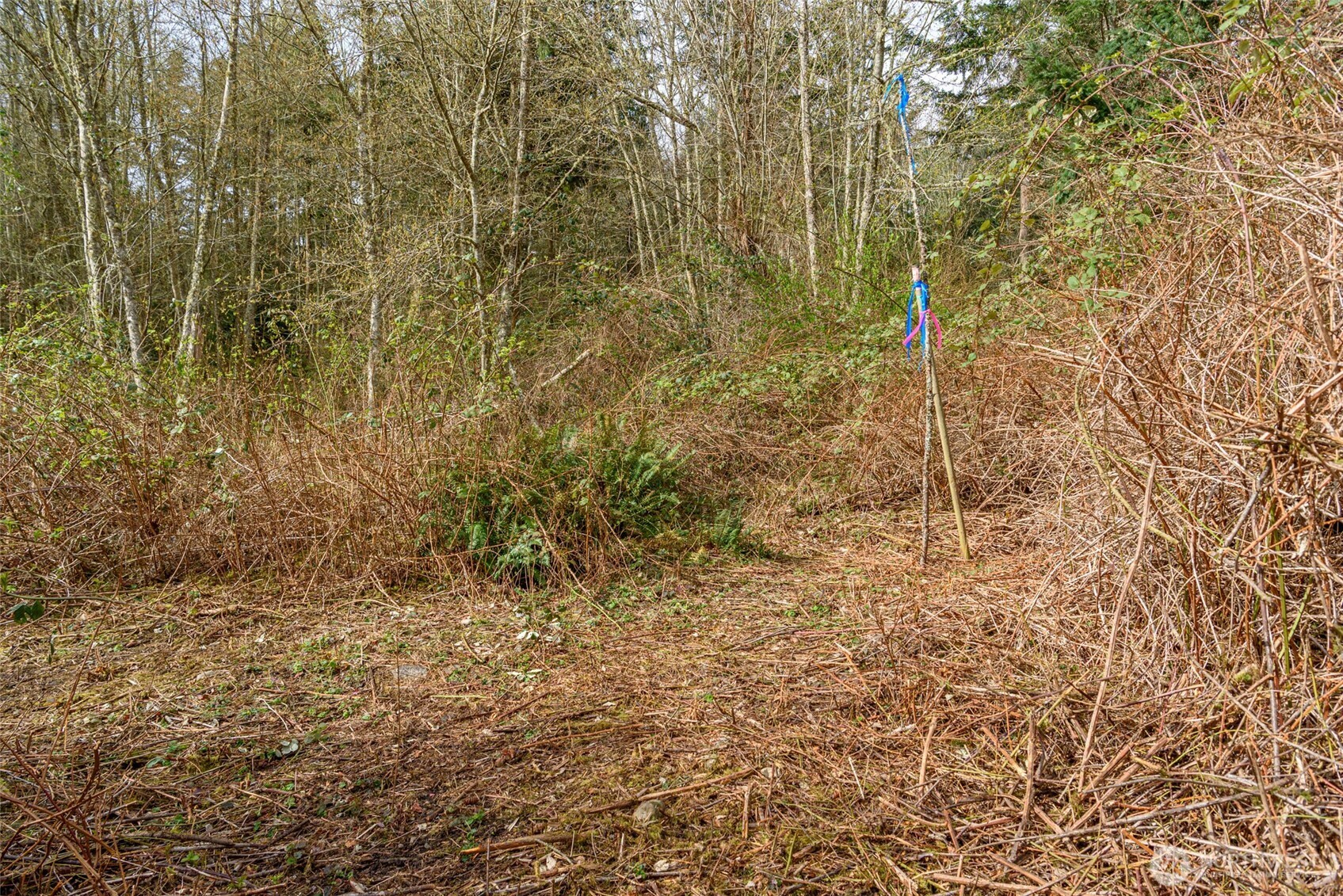 0 Nhn Polnell Road Property Photo 15
