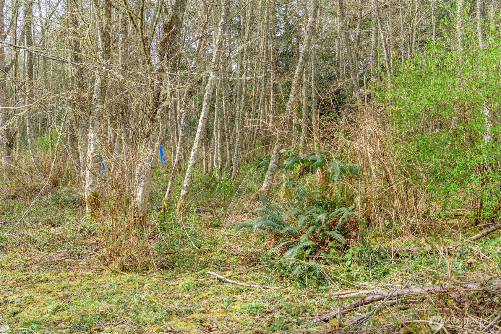 0 Nhn Polnell Road Property Photo 16