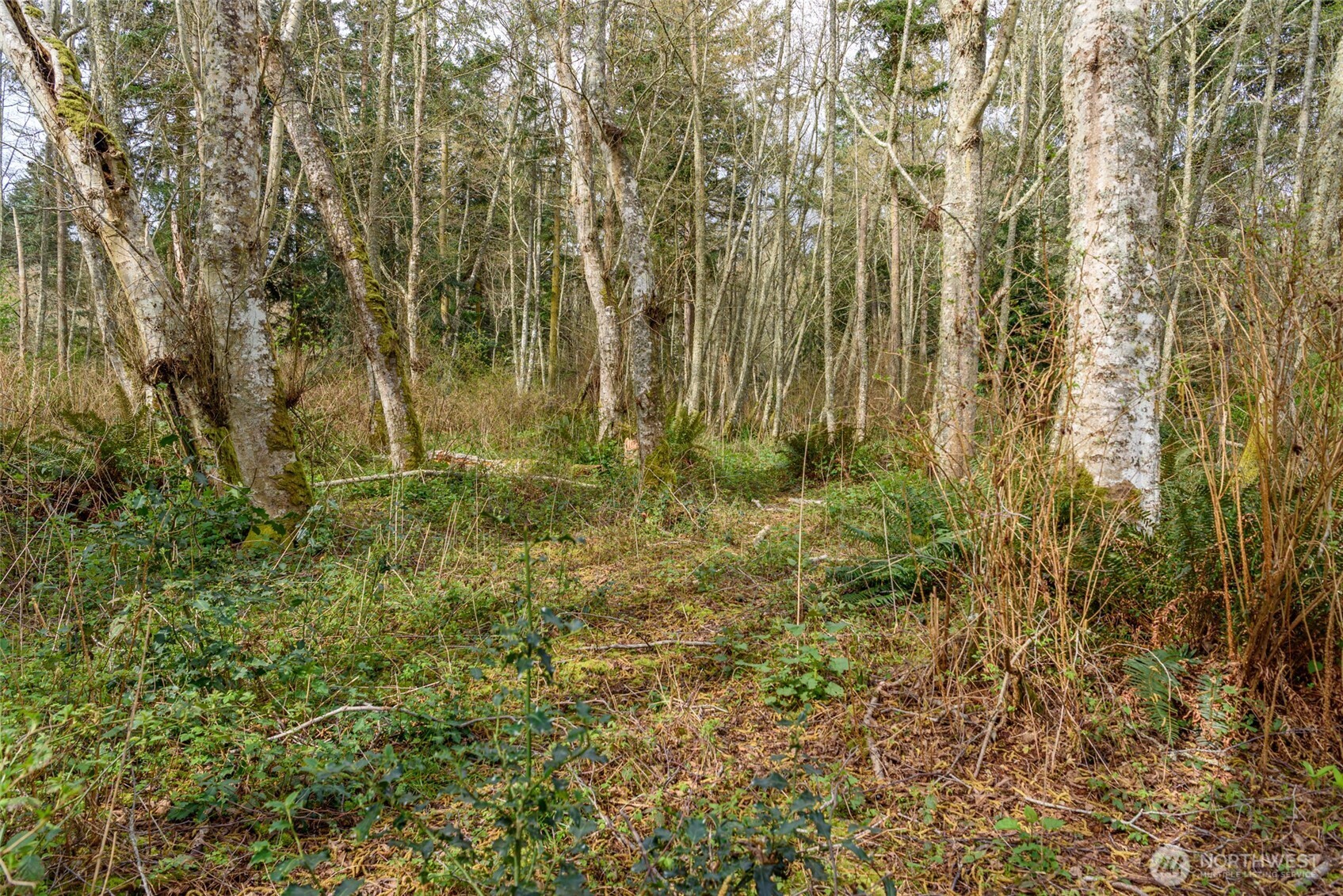 0 Nhn Polnell Road Property Photo 17