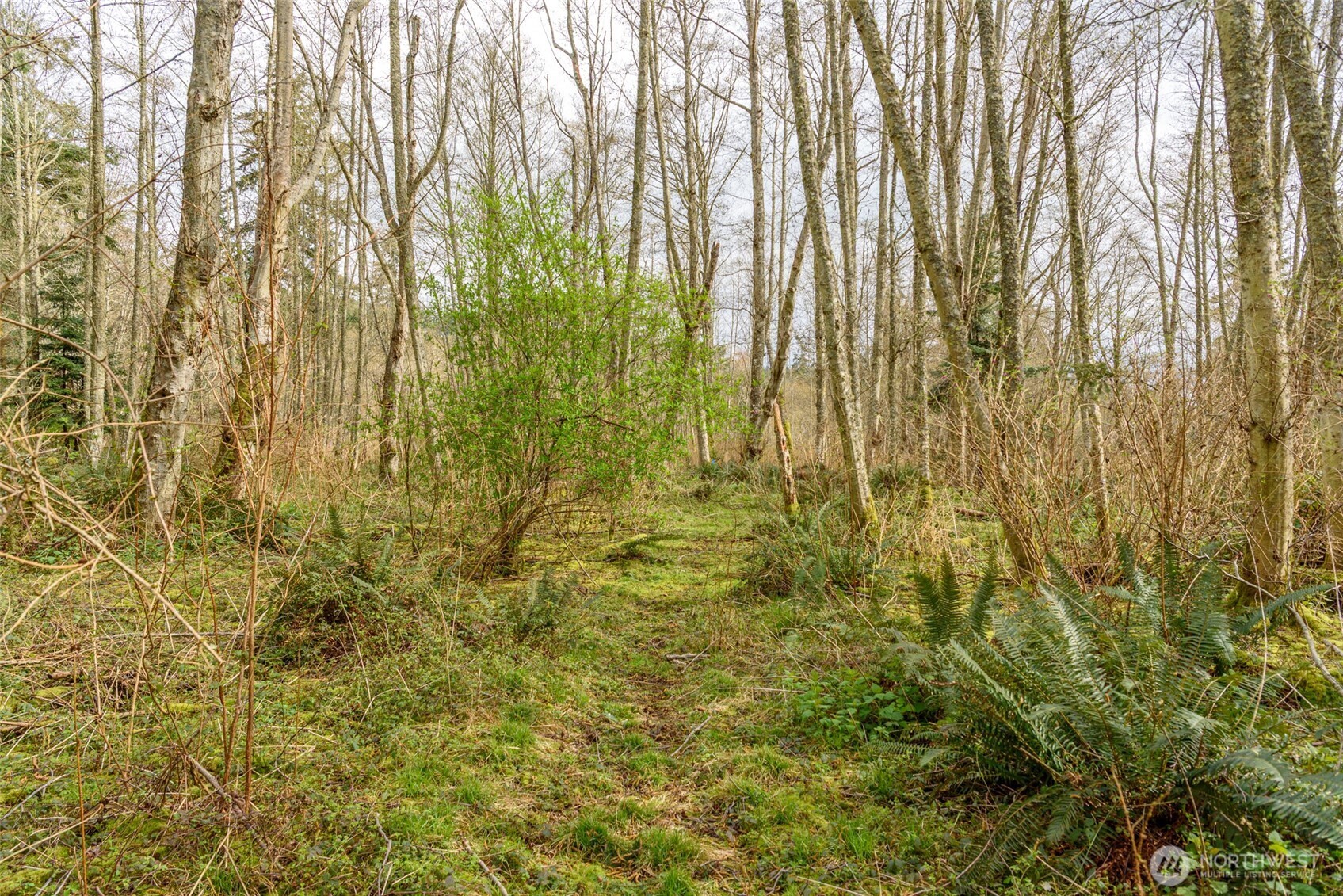 0 Nhn Polnell Road Property Photo 18