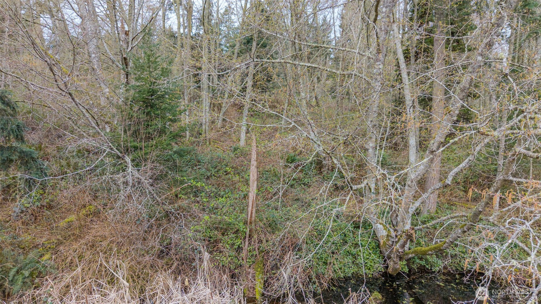 0 Nhn Polnell Road Property Photo 19