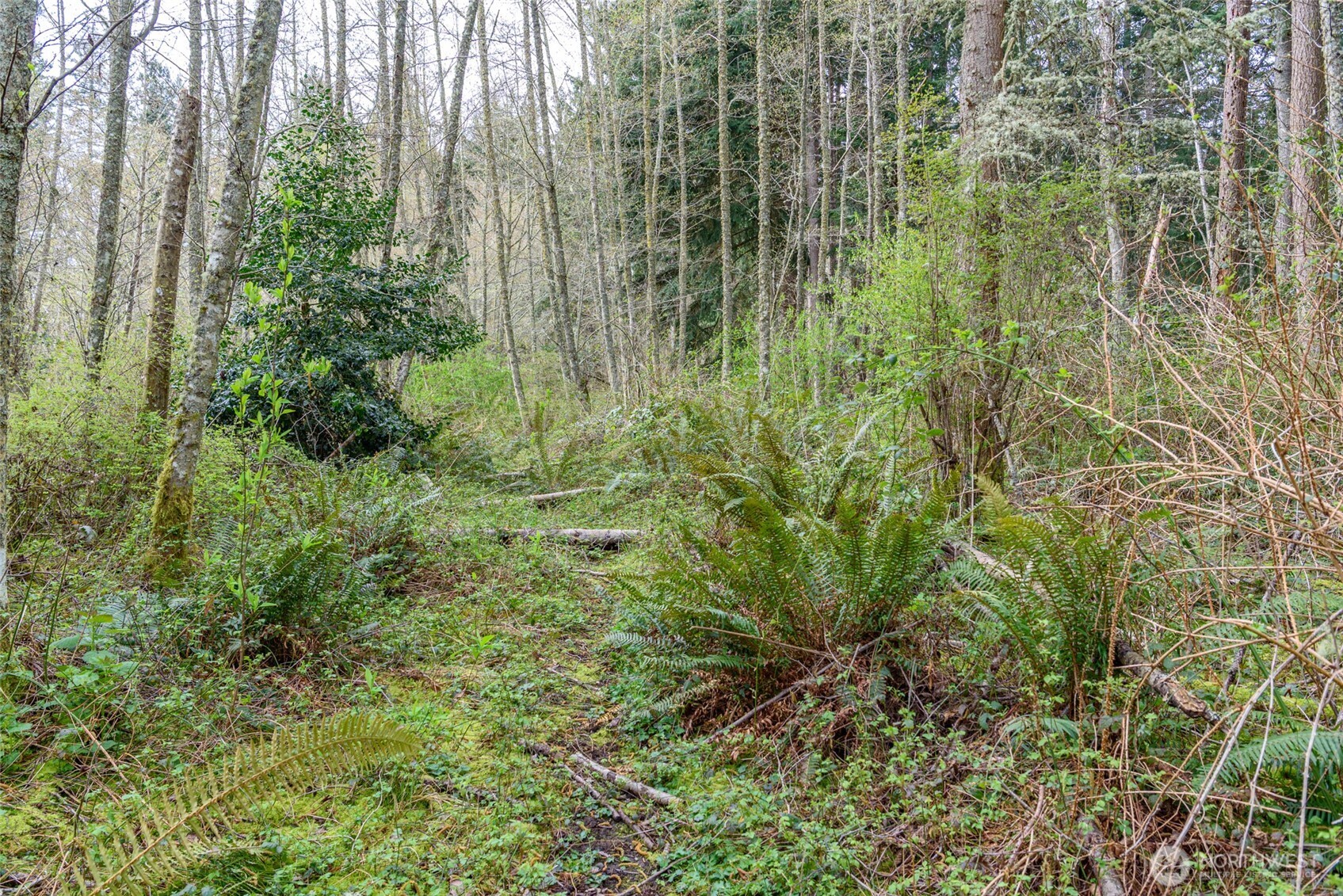 0 Nhn Polnell Road Property Photo 23