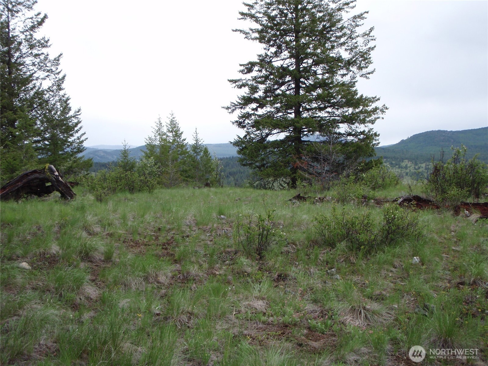 0 Edgewood Lane Property Photo 1