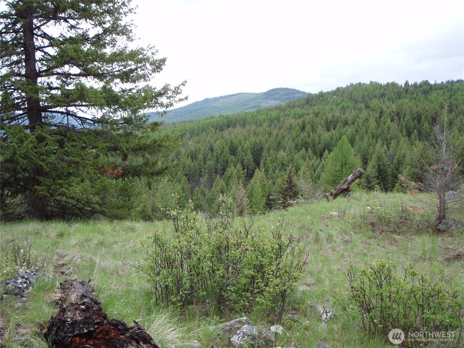0 Edgewood Lane Property Photo 3