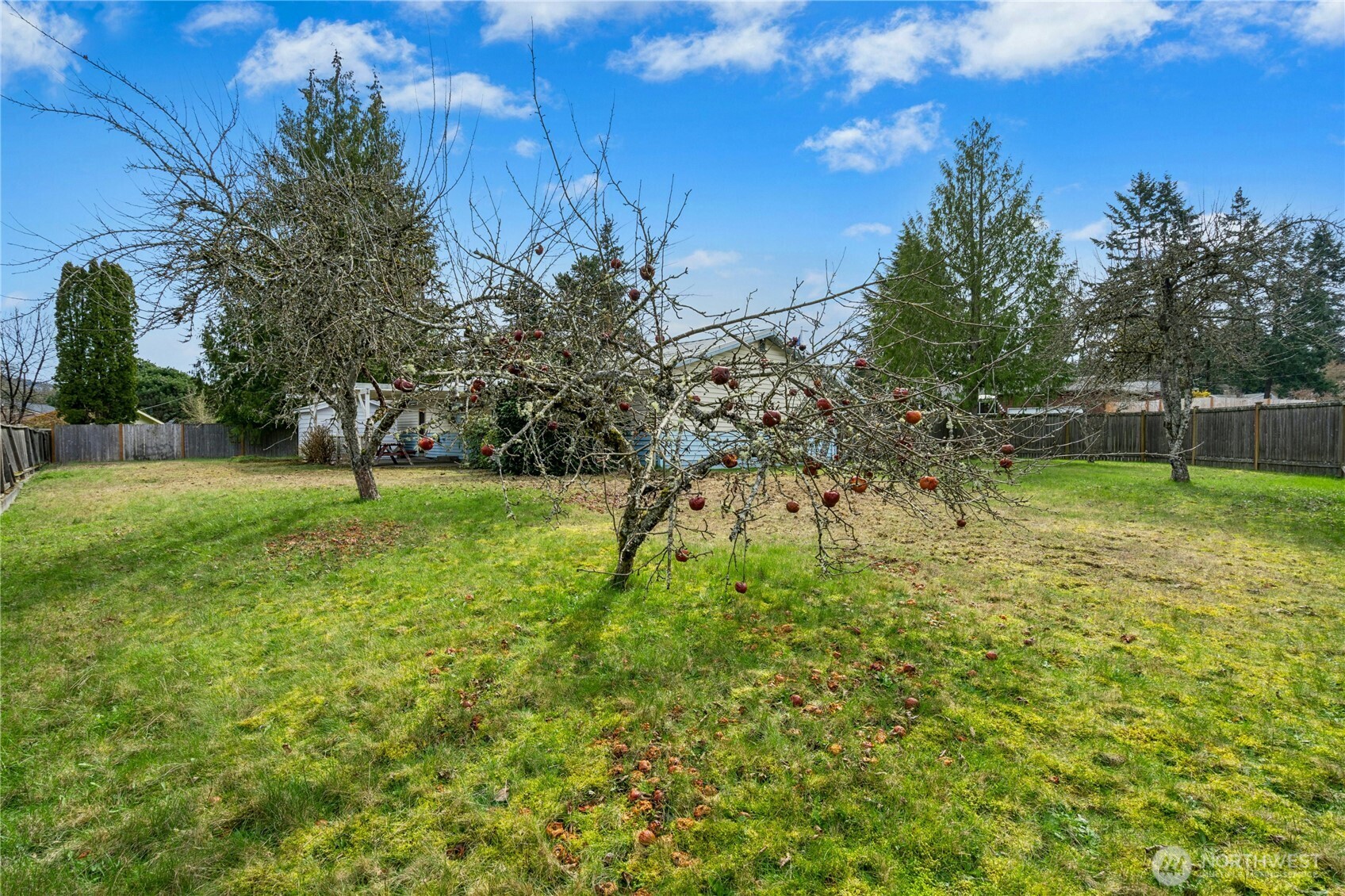 12502 Se 73rd Place Property Photo 32