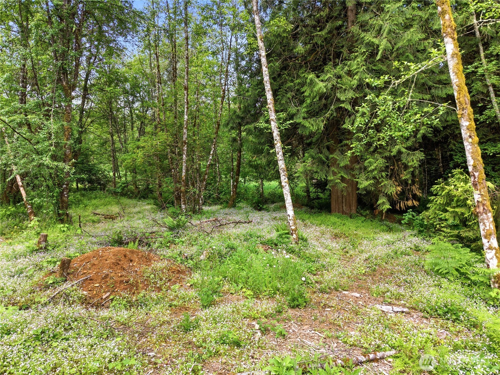 210 Vermillion Road Property Photo 15