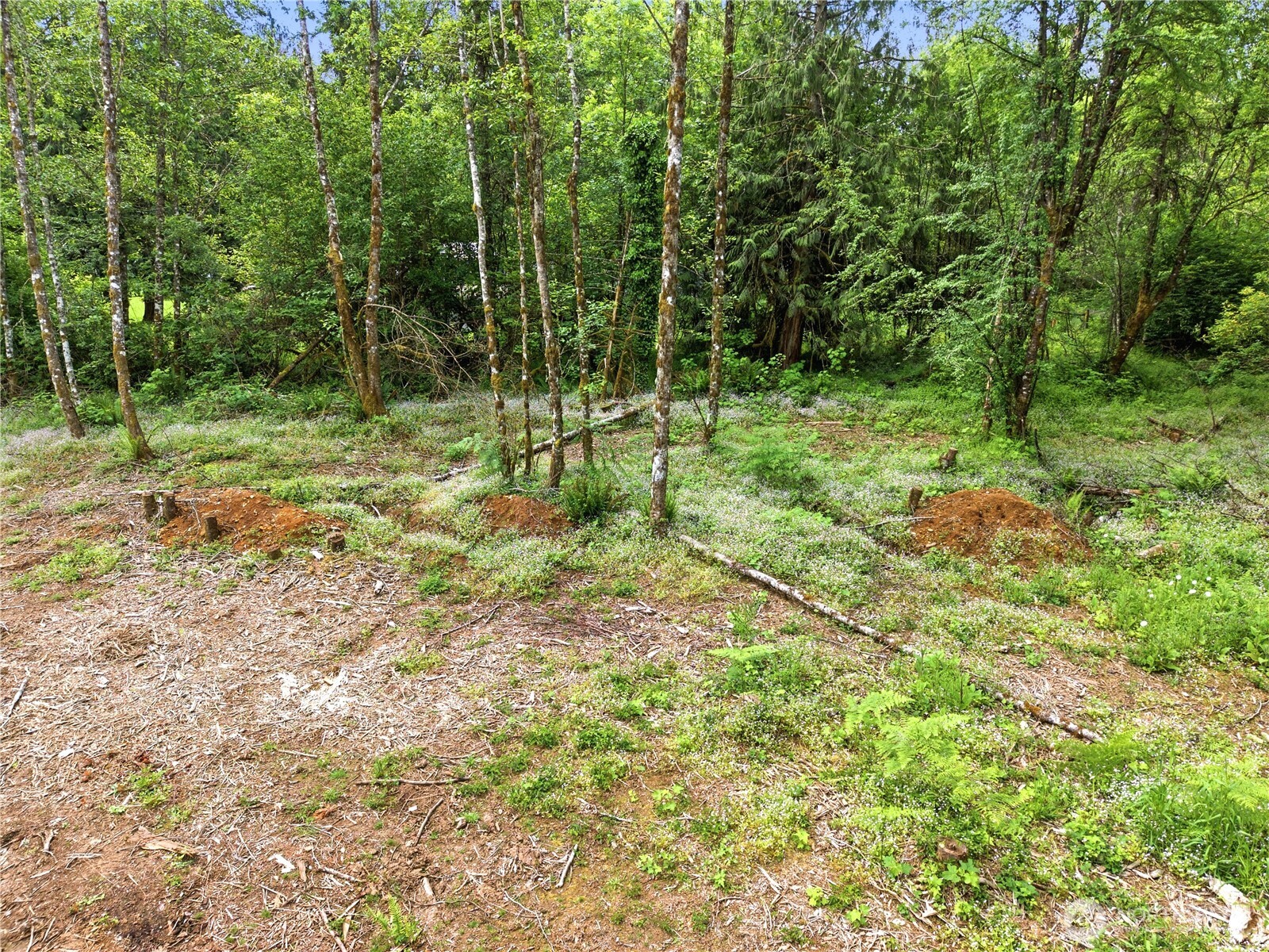 210 Vermillion Road Property Photo 16