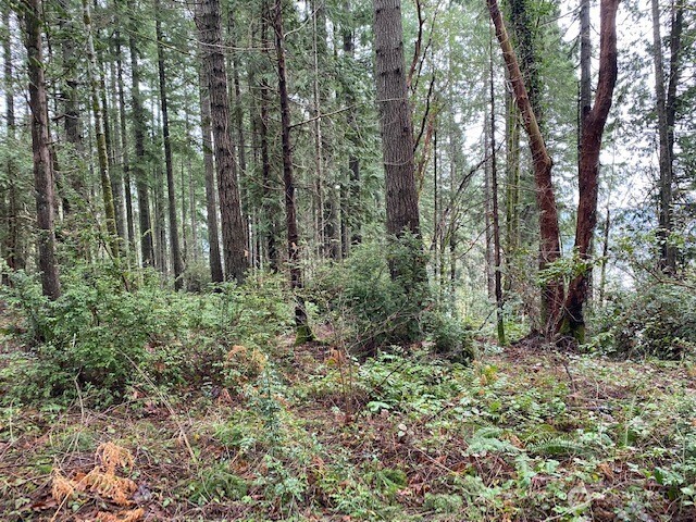 0 Elk Street Property Photo 1
