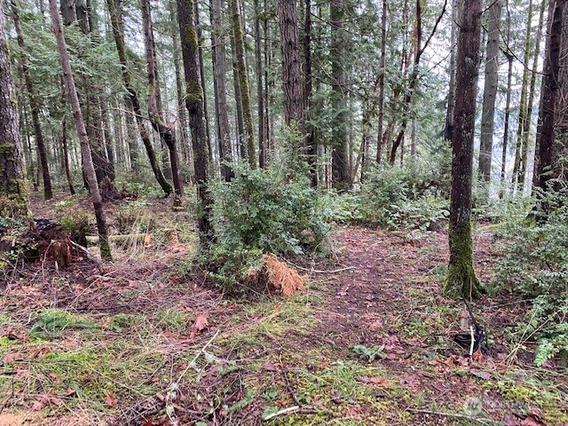 0 Elk Street Property Photo 5